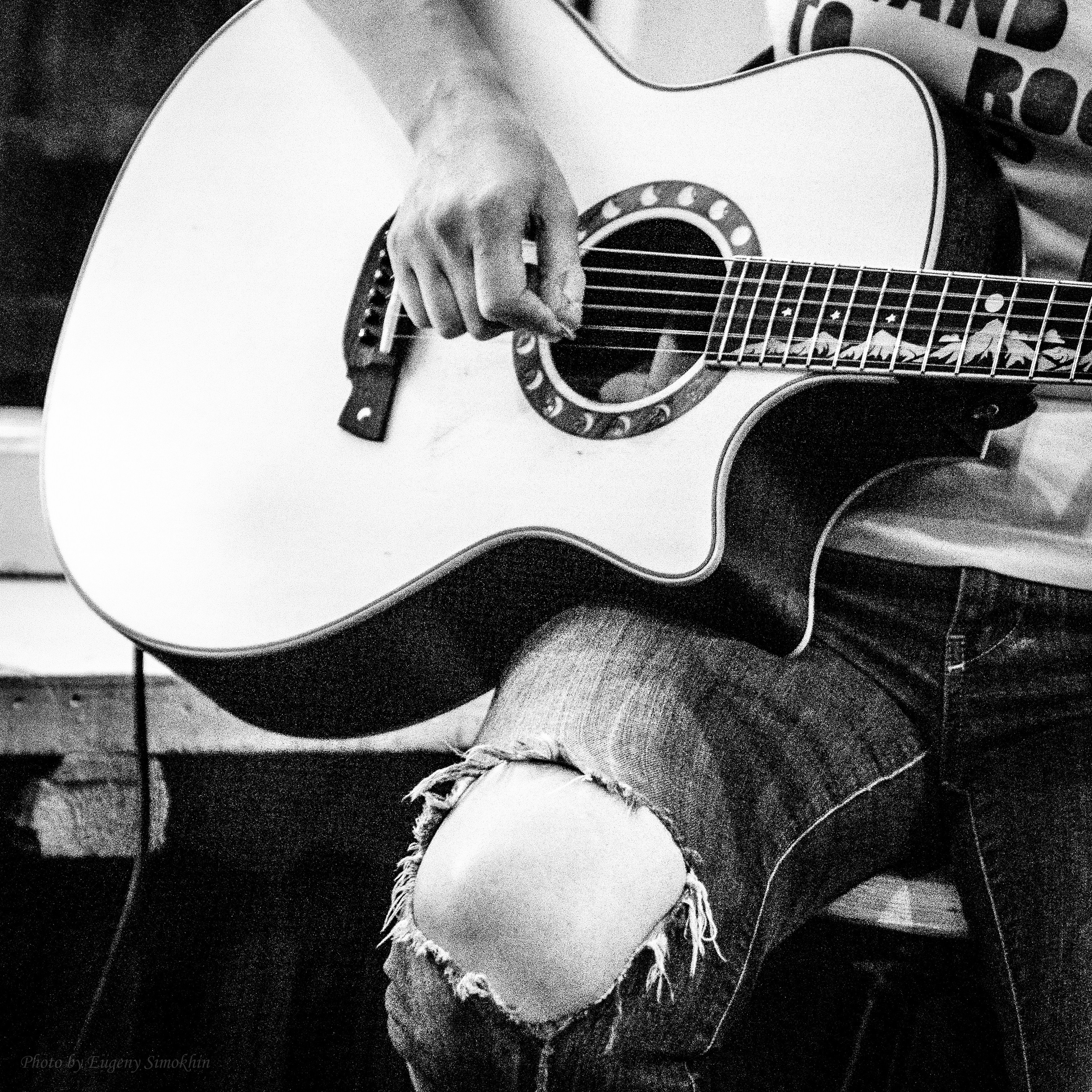 Бруссника. Фотограф Евгений Симохин