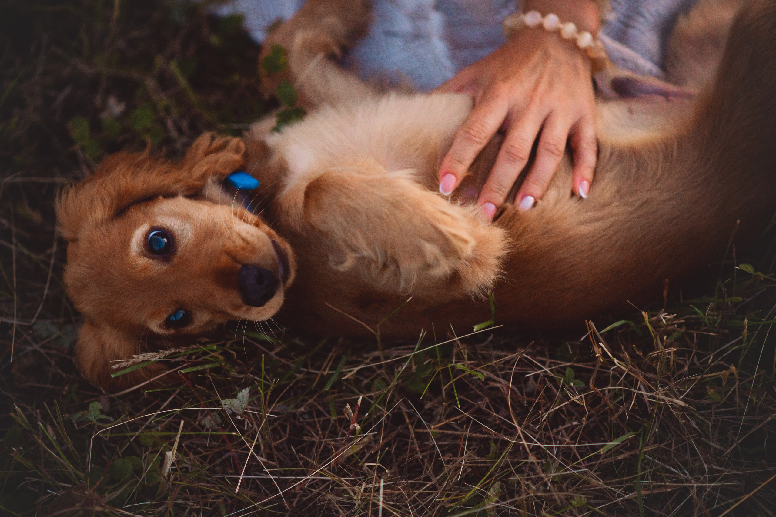 Наташа, Агата, Назар и Август — 17.07.2025. Фотограф — Анималист | Анна Абрамова