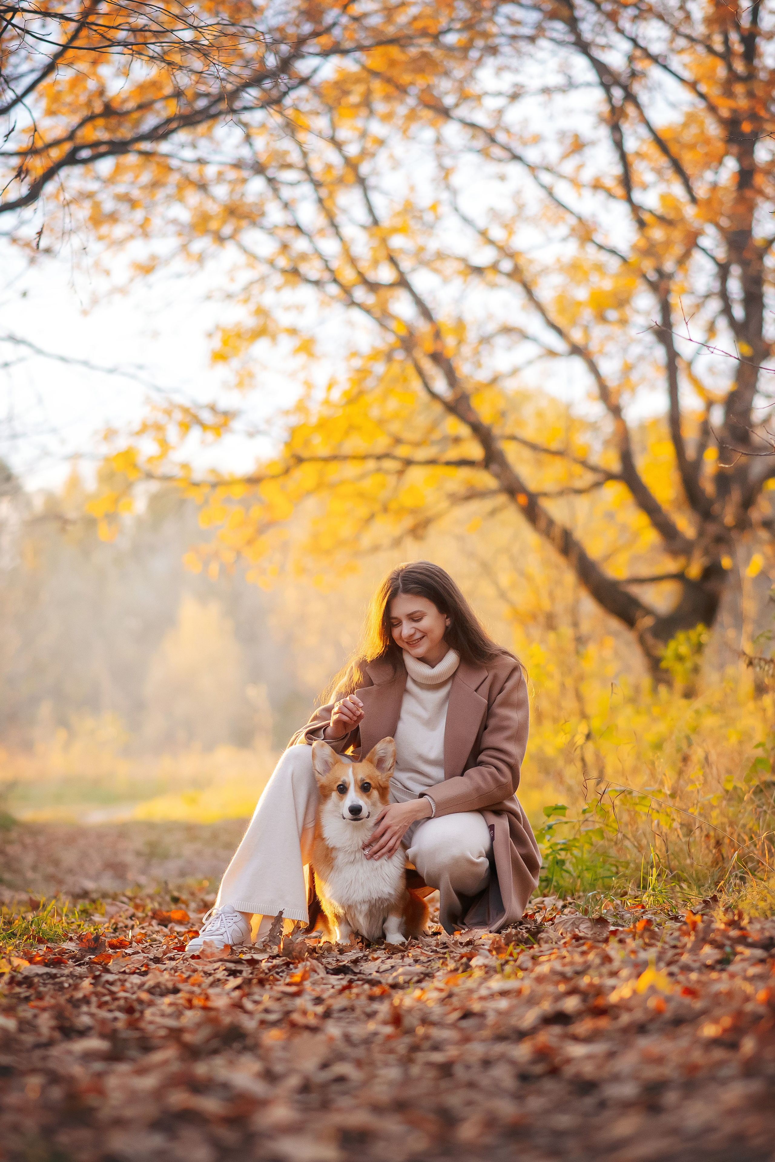 Максим, Аня и Челси — 19.10.2024. Фотограф — Анималист | Анна Абрамова