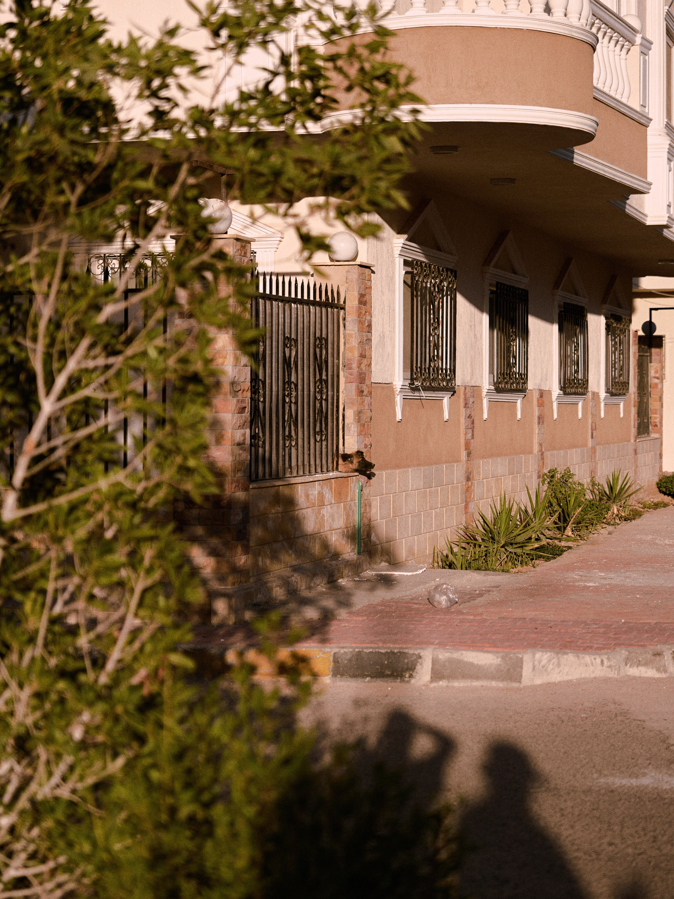 Природа сквозь. Jorgis Talè — photographer, kind person, teacher of arts and other mag