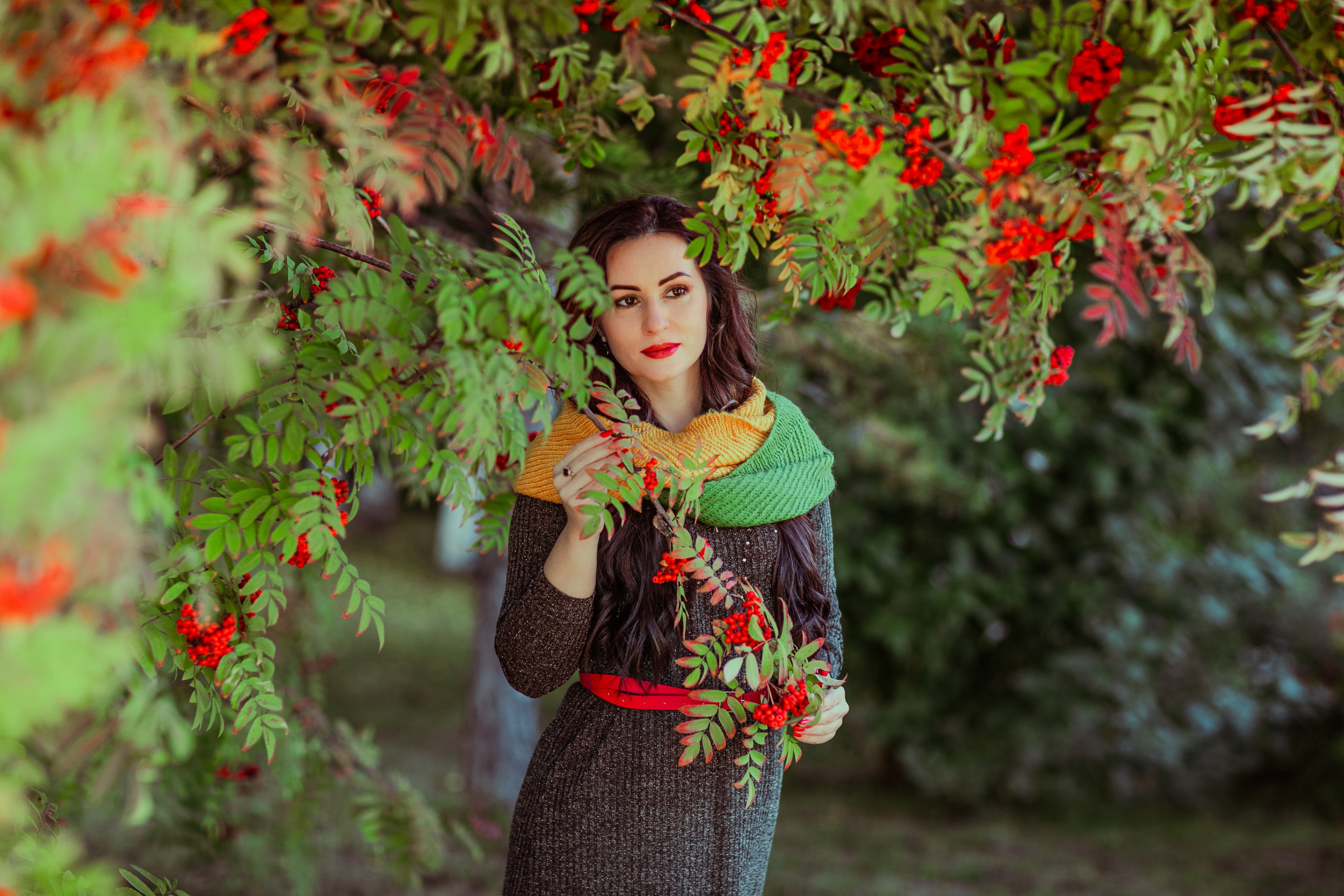 Багрец и золото. Фотограф Елена Вишневская (Ушакова) Нефтеюганск, Сургут, Тюмень