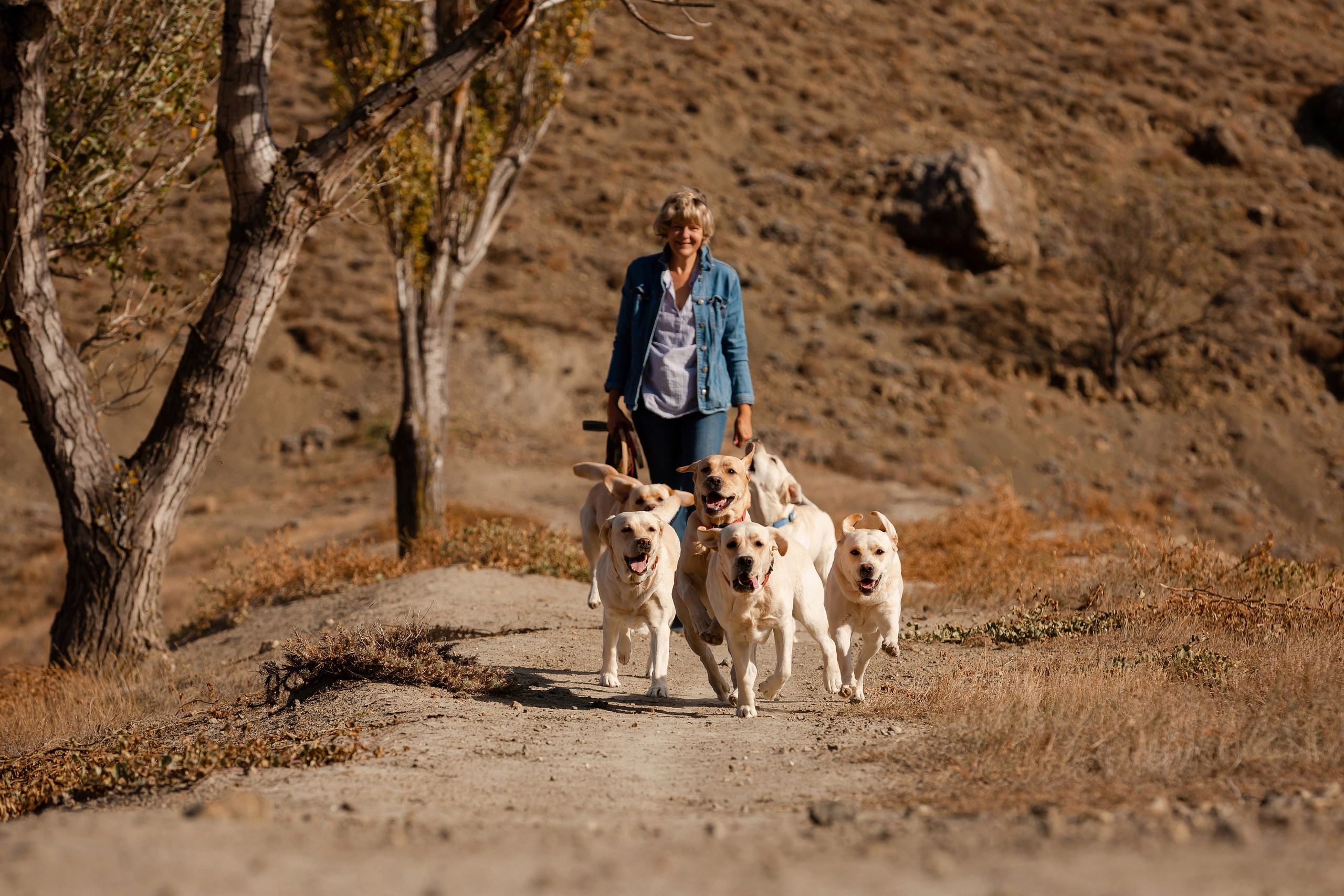 Лабрадоры и горы. Фотограф-анималист в Краснодаре Маша Мельникова