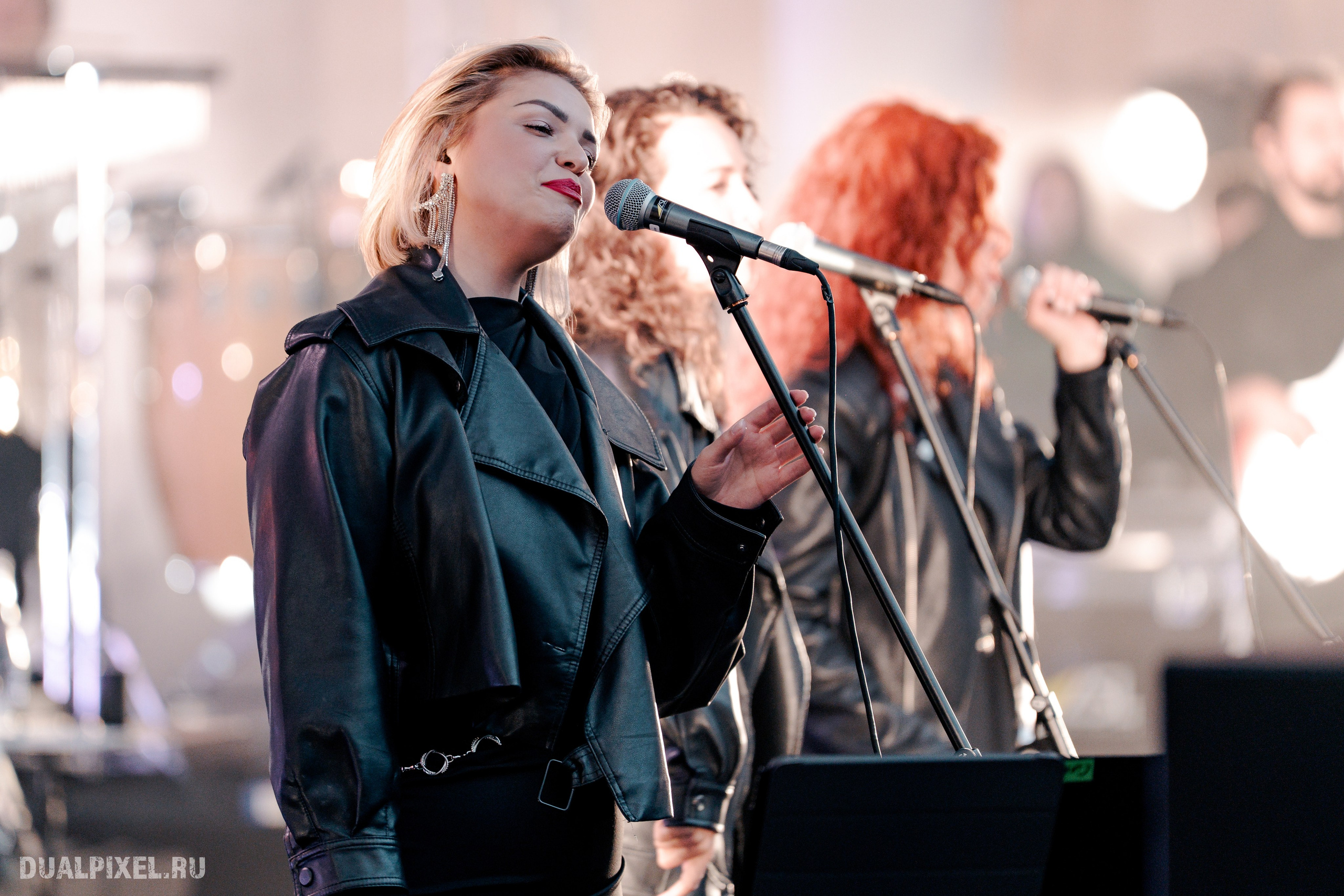 Владимир Пресняков. Магия музыки в кадре: Концертная Фотография