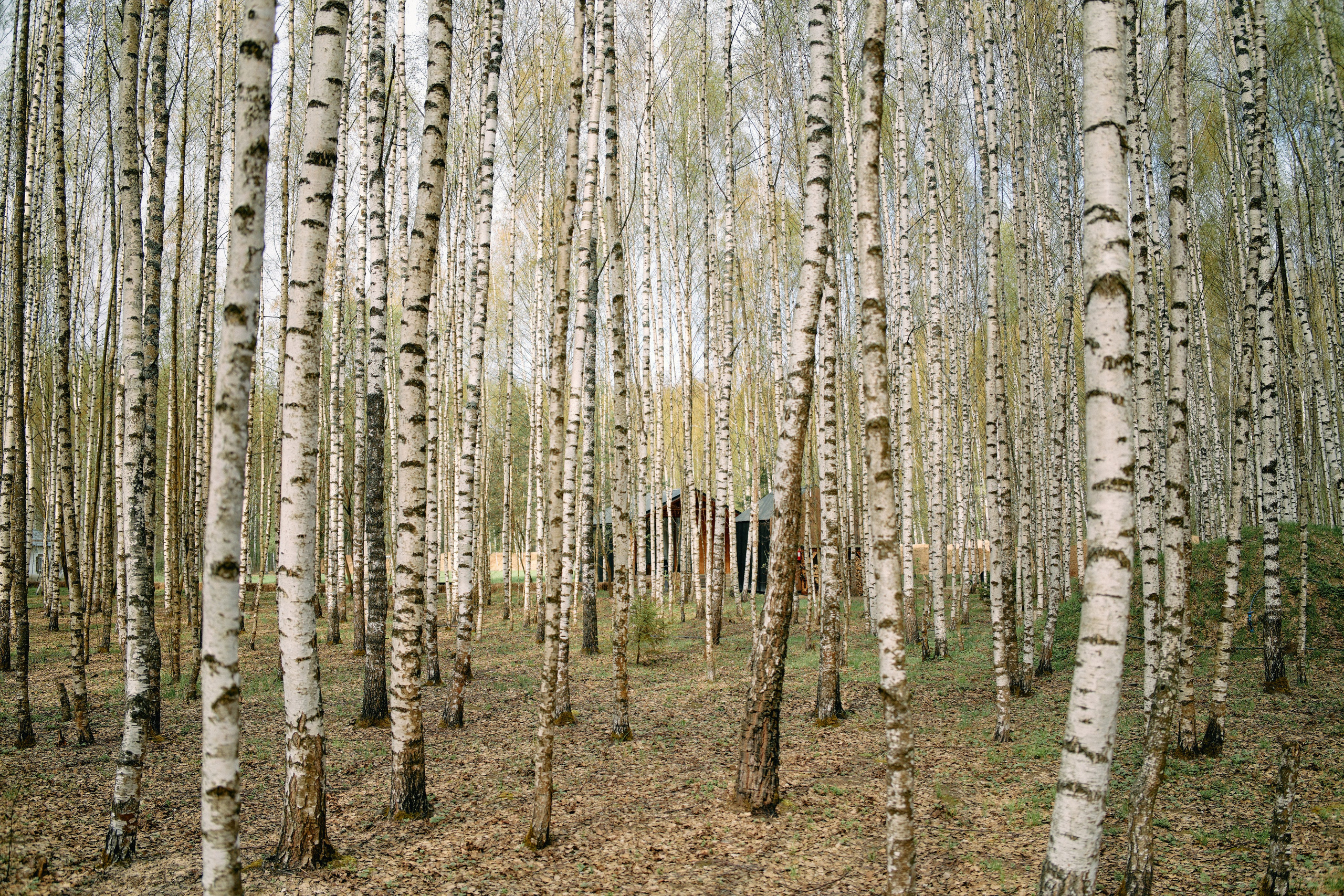 Бутик-отель Поле летом. Профессиональный Фотограф во Владимире, в Москве и в Суздале — Полина Романычева