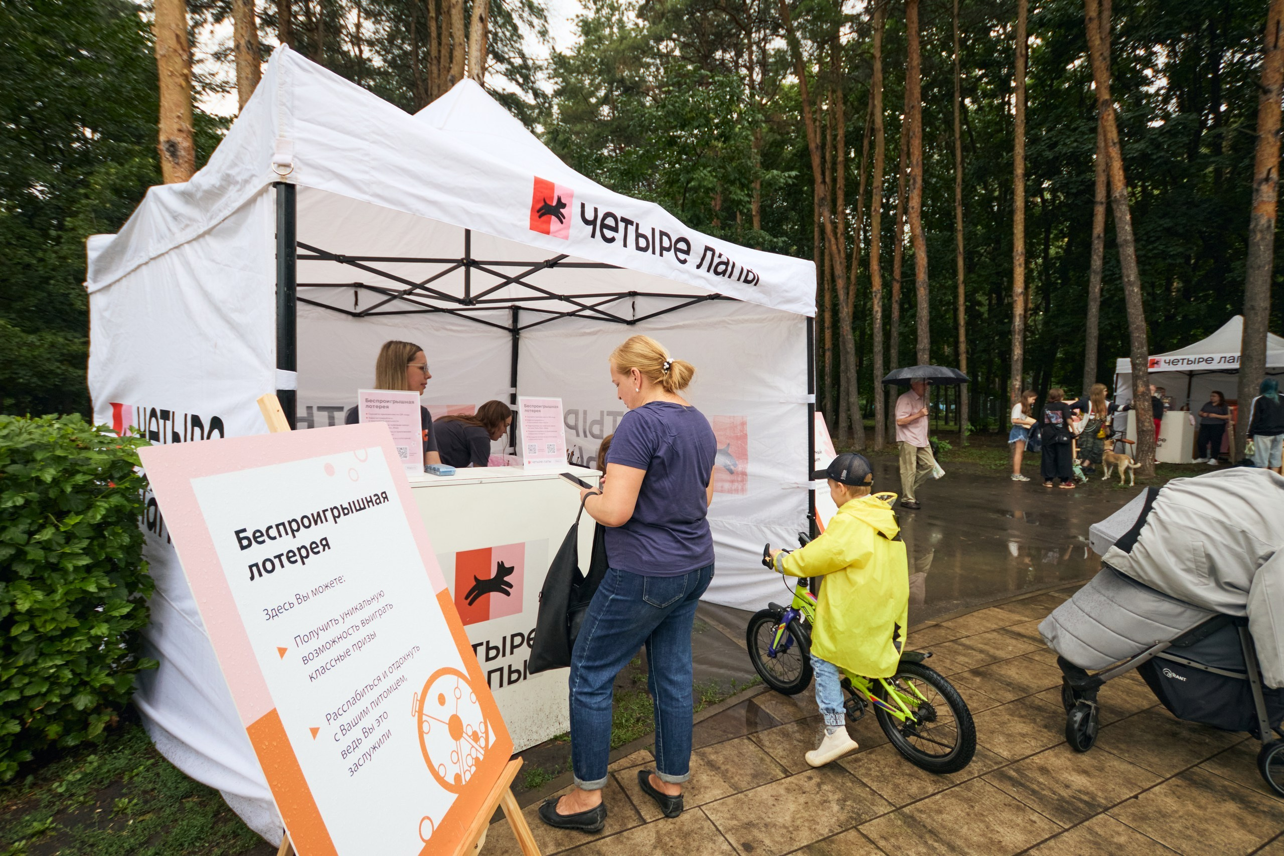 Четыре Лапы. Свадебный и репортажный фотограф Дмитрий Кононенко