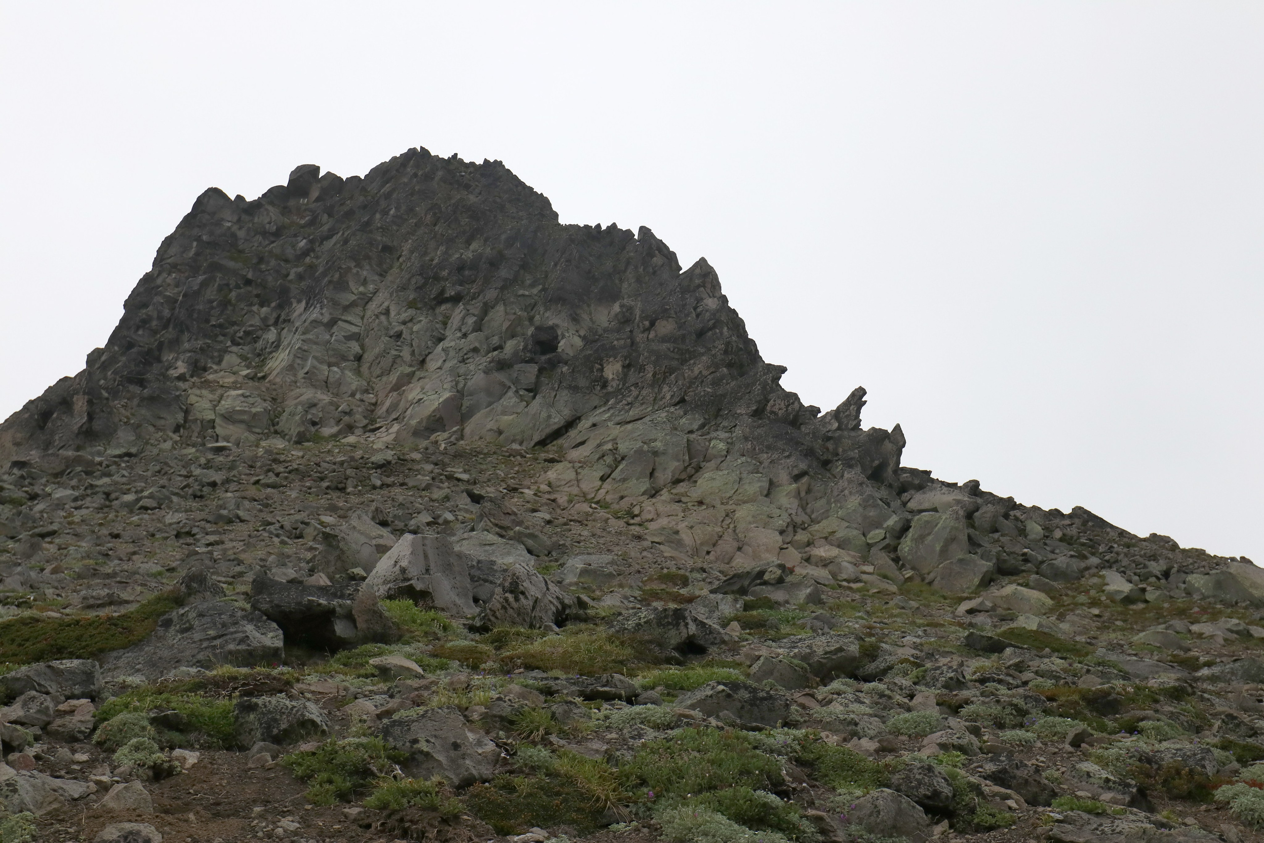 Один из "горбов" горы Верблюд