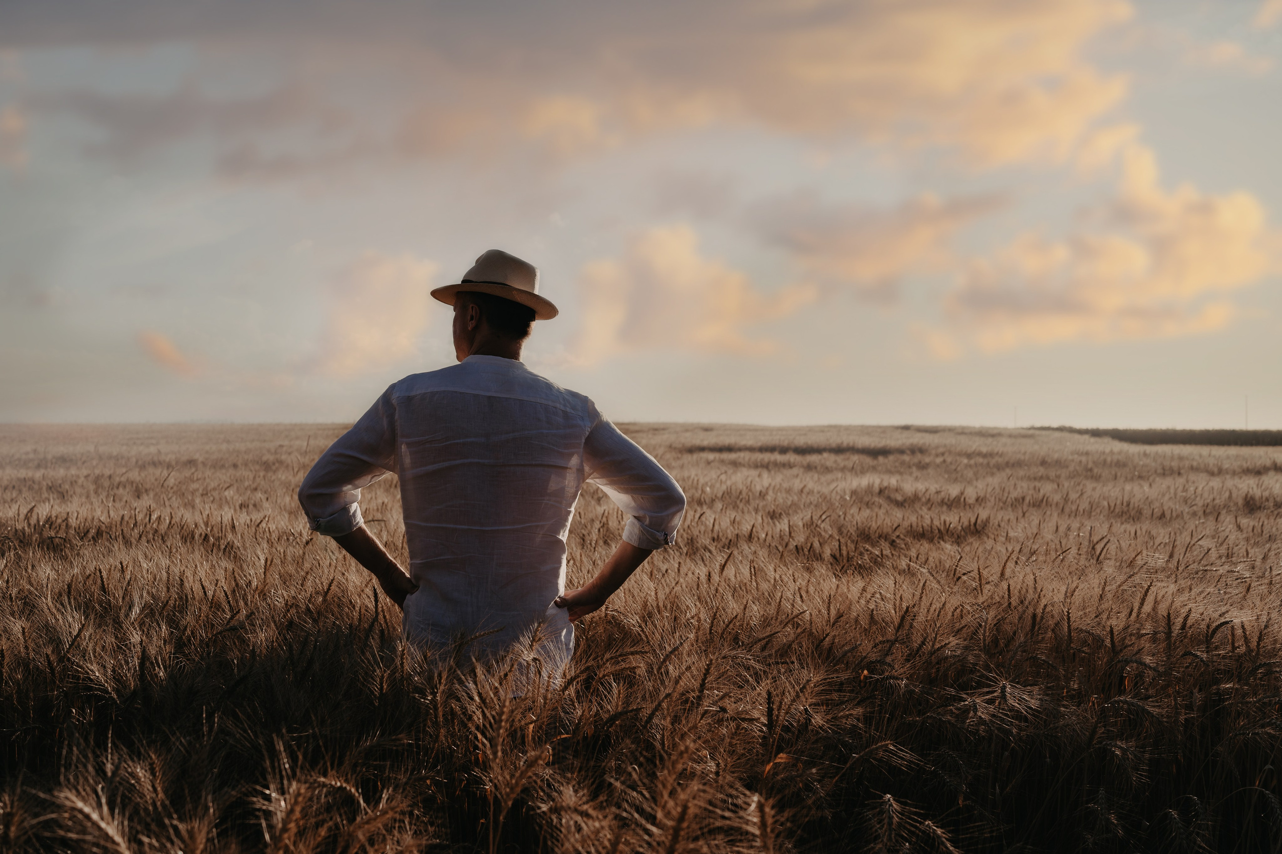 Аксана семейная в поле. Семейный фотограф, женский фототерапевт
