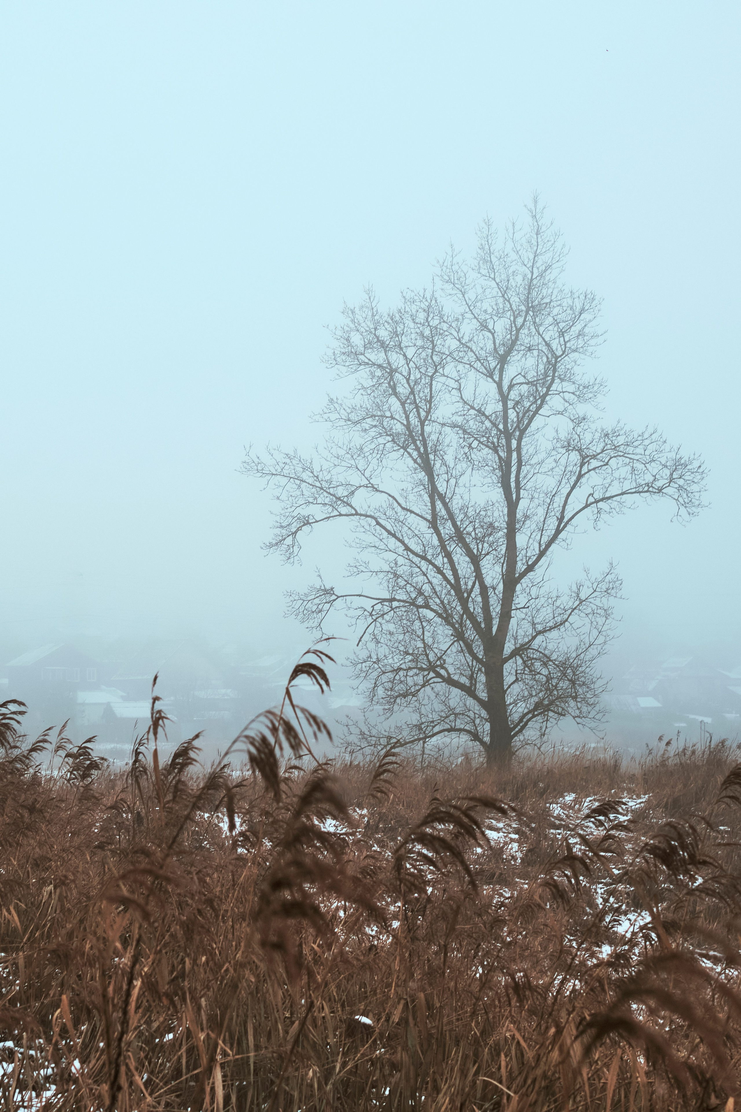 Съемкав туман. Фотограф для маркетплейсов в Иваново | Съемки одежды и белья