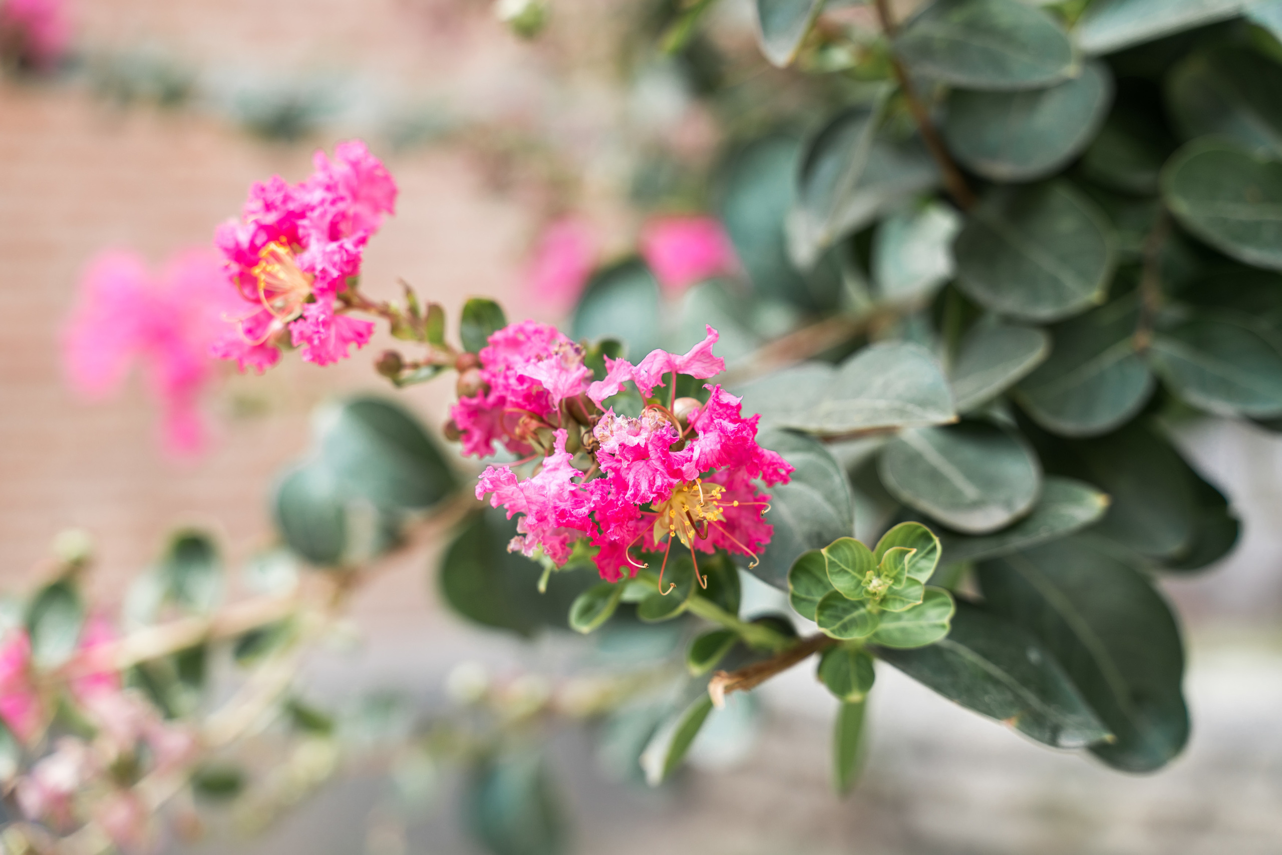 Некоторые места в Грузии. PhuQuoc photographer — Phu Quoc wedding photographer