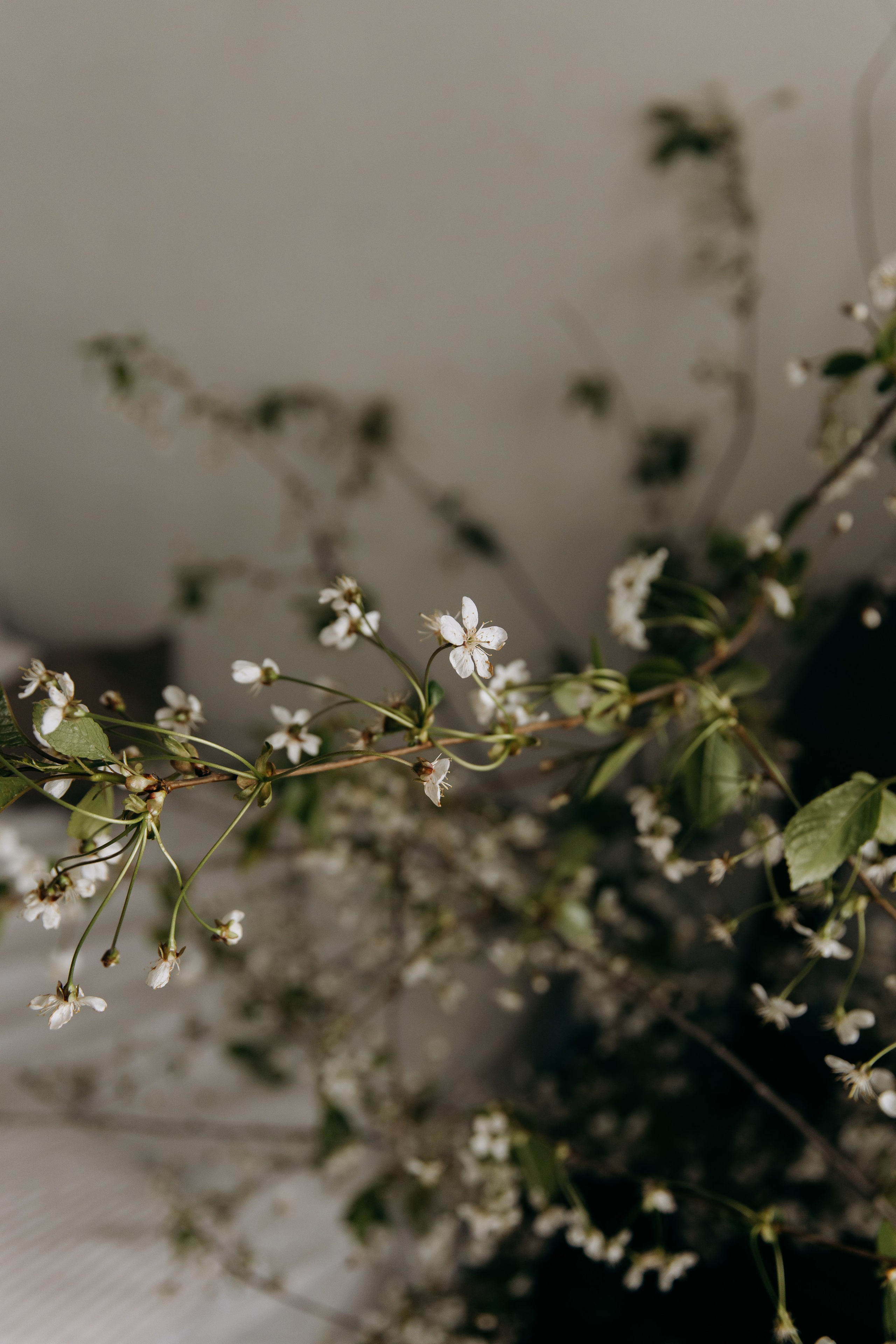 Игорь и Мария. Свадебный фотограф в Москве Дмитрий Левин