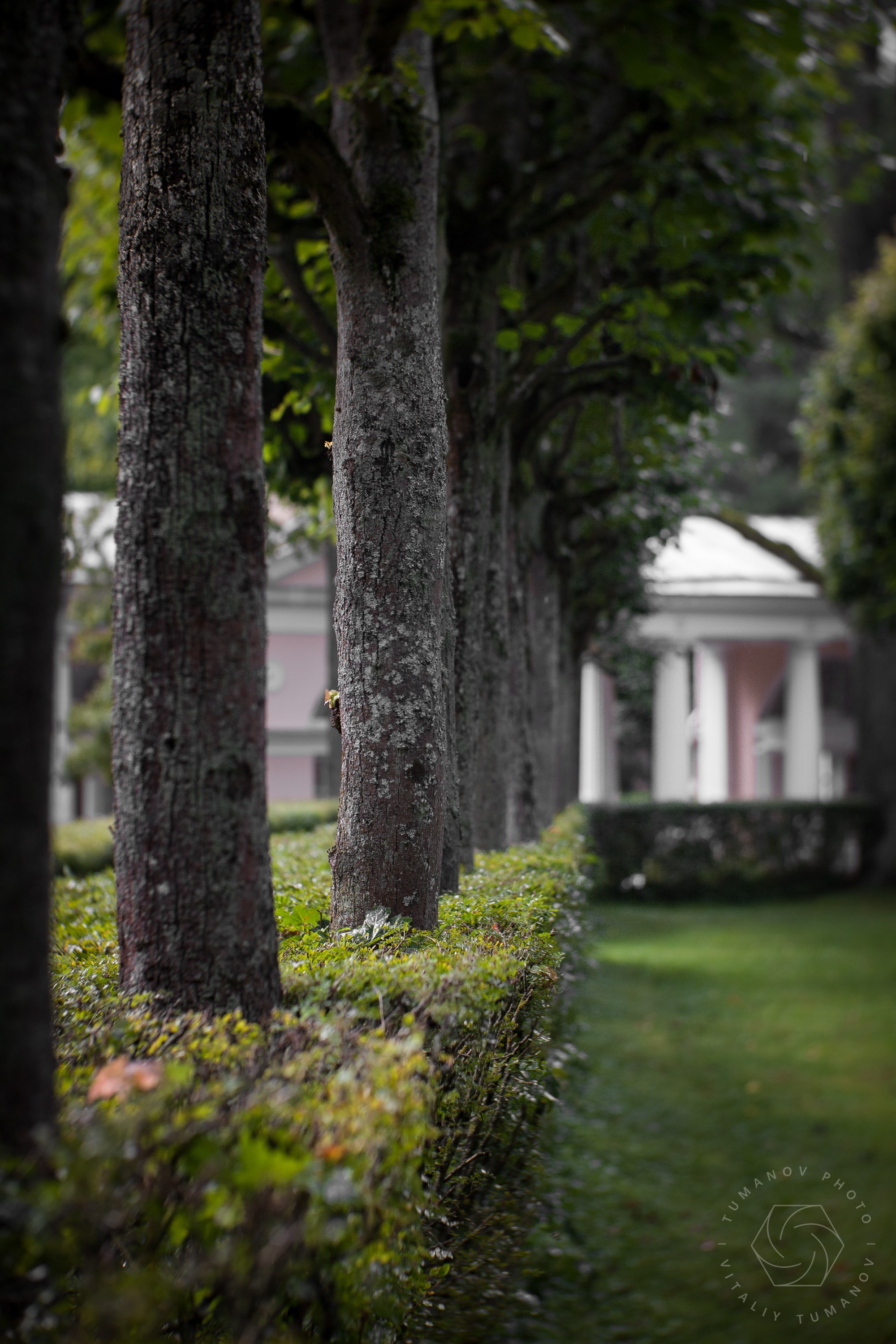 Ландшафтная фотография. Виталий Туманов — Ландшафтный фотограф