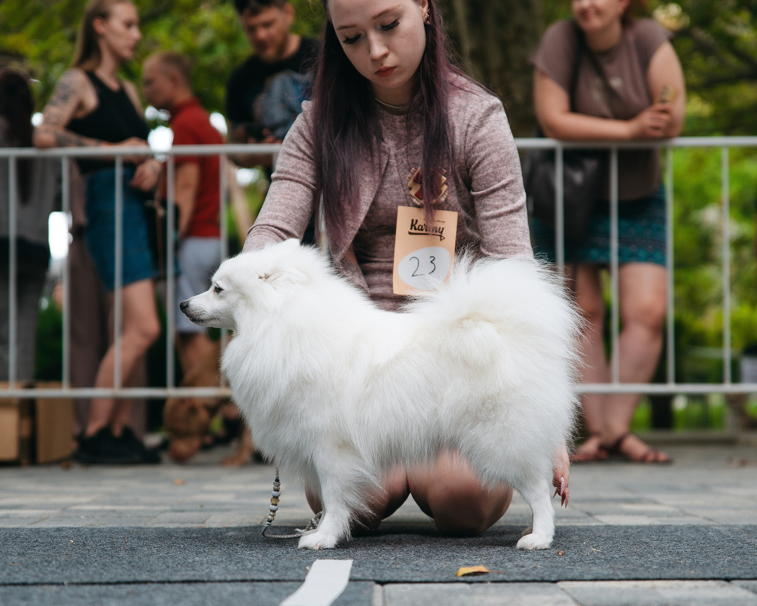 Животные. Фотограф Сочи-Краснодар