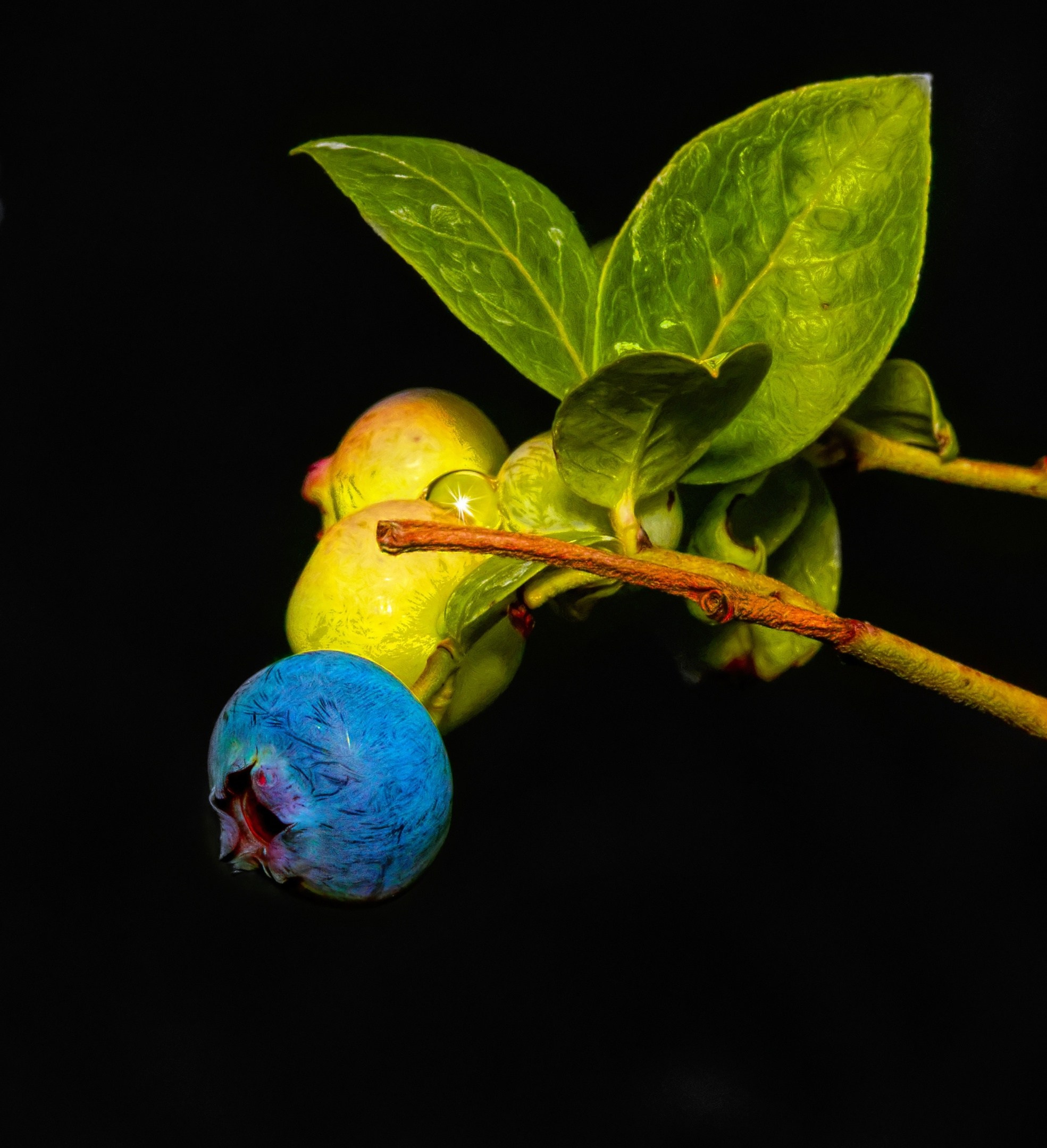 ПРИРОДА. Слепки времени. Фотографии природы и событий. Москва. Сергей Аллагулов