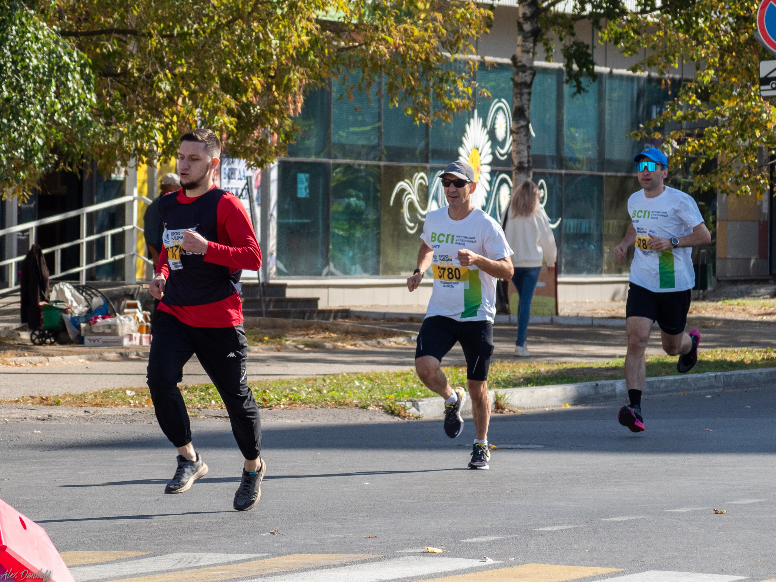 Кросс нации 2024. Муром-Инфо. Новости культуры, образования, спорта в городе Муром