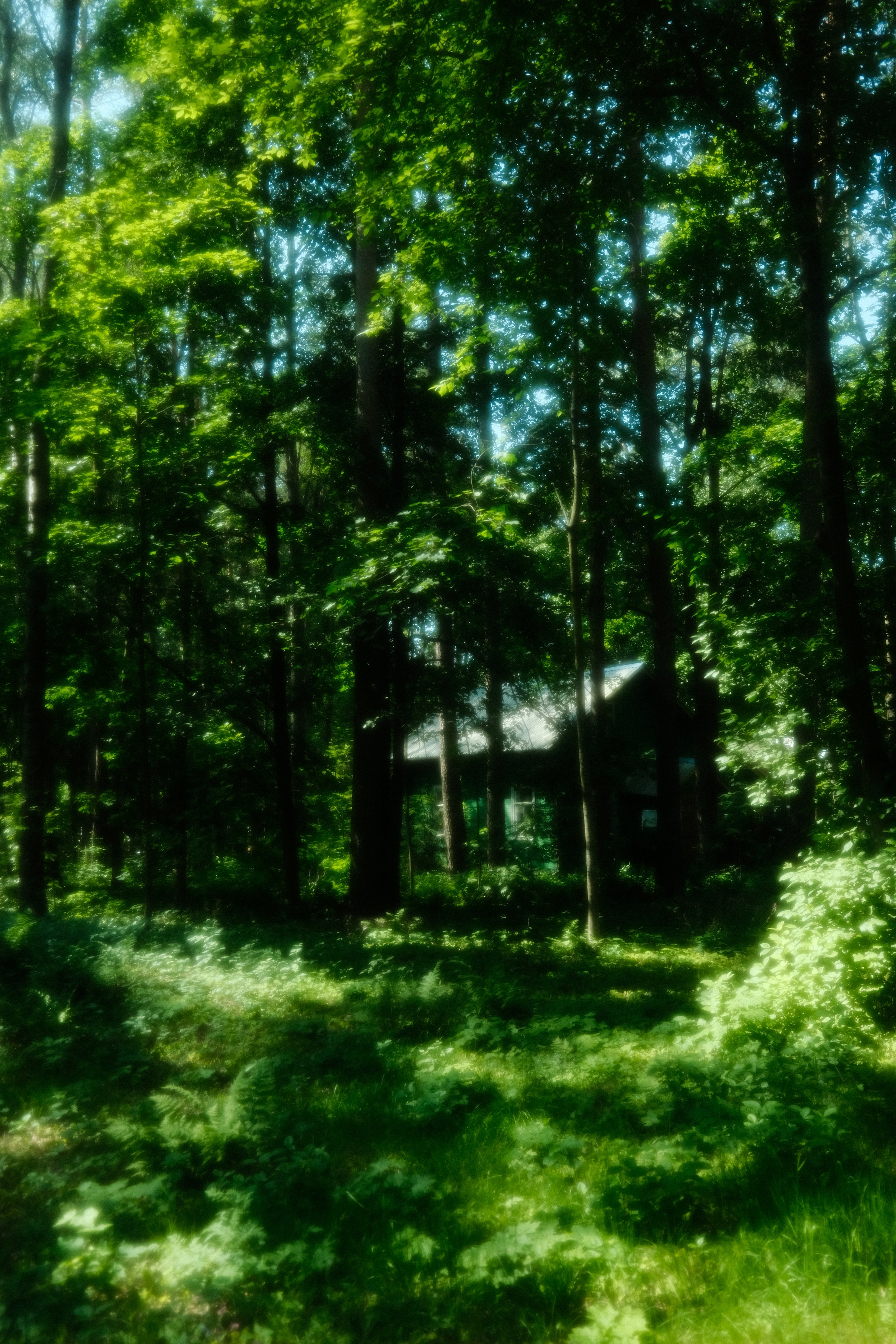 Невесомость. Портретный фотограф