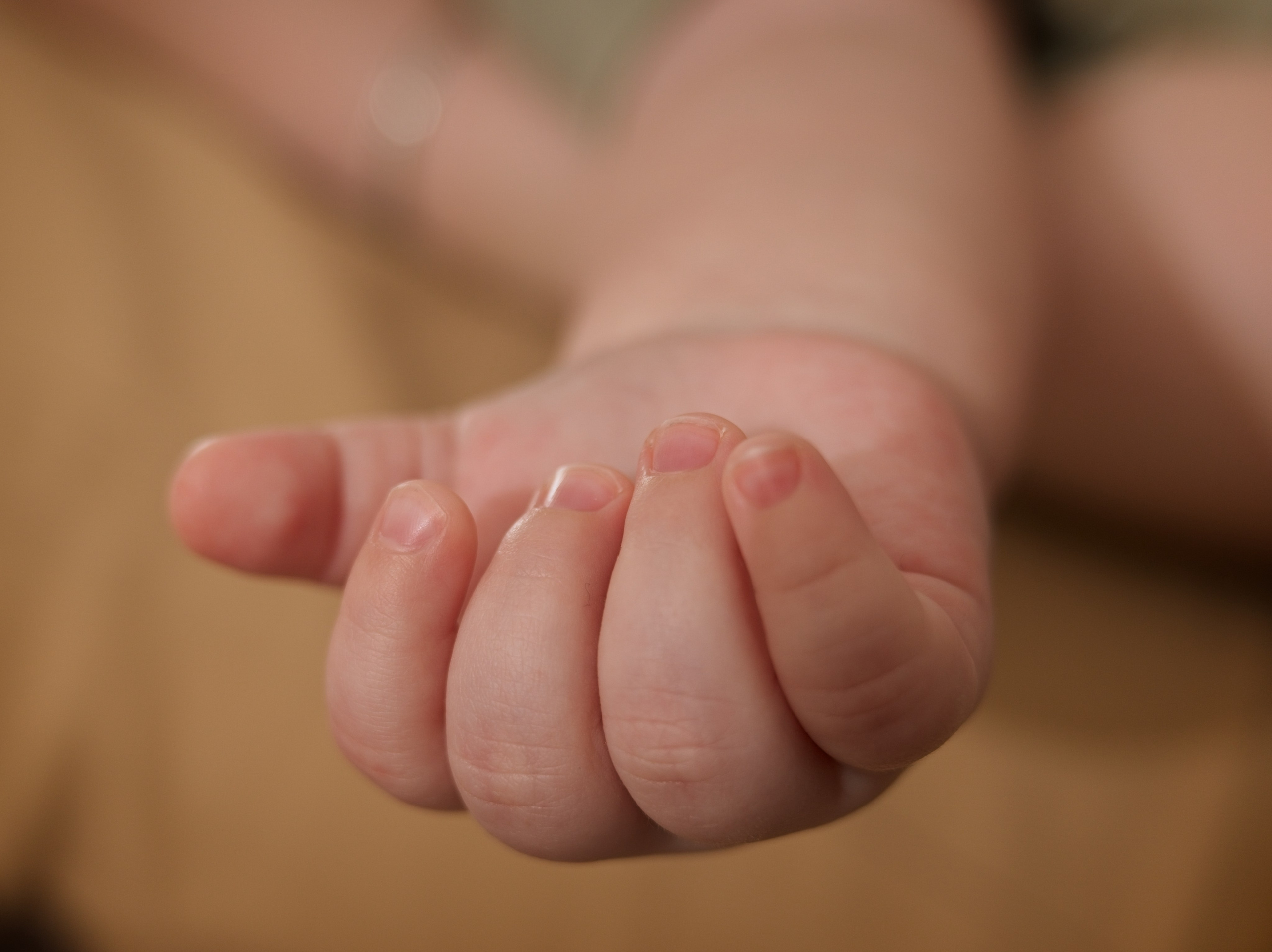 Семья. Семейный и интерьерный фотограф в Норильске и Красноярске