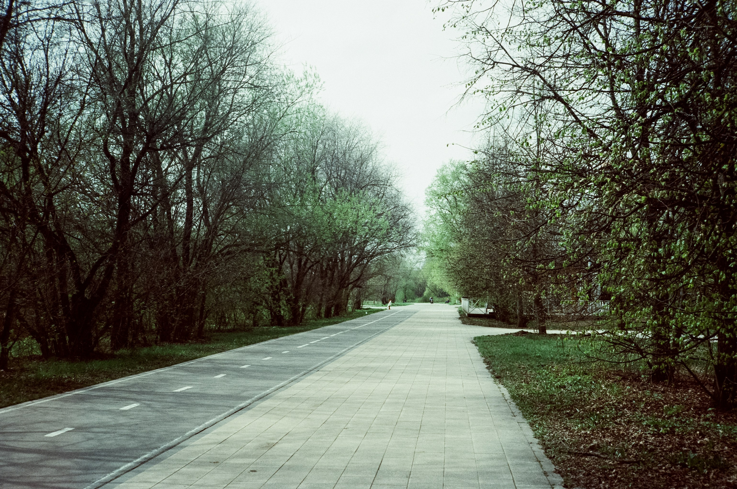 Ricoh 500GS / SFL 200T / Строгино тестовая пленка апрель 2024 г