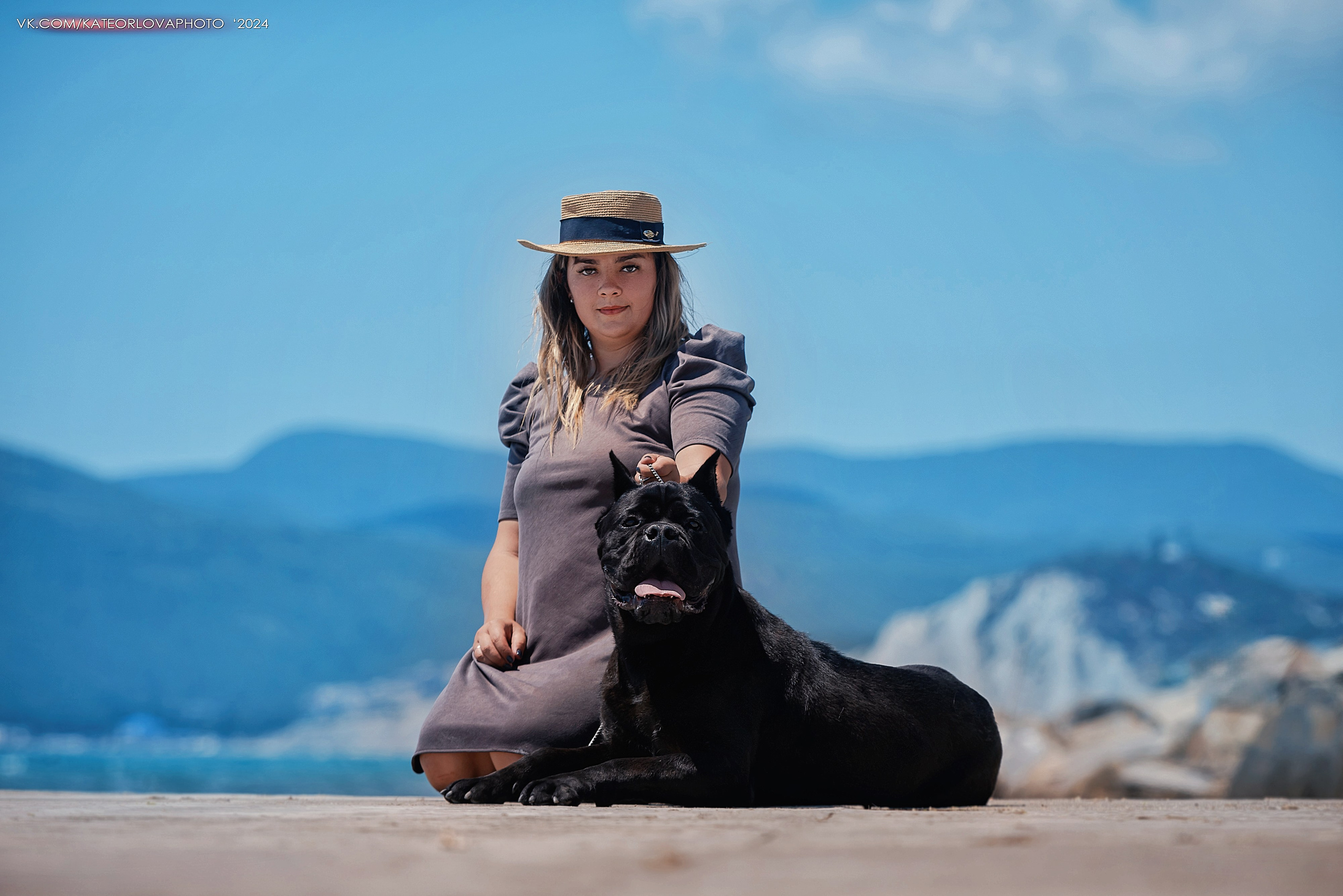 Фотосъемка собак, щенков, на выставках, фотограф анималист Россия воронеж. Питомник собак Акита, Хаски, Корги