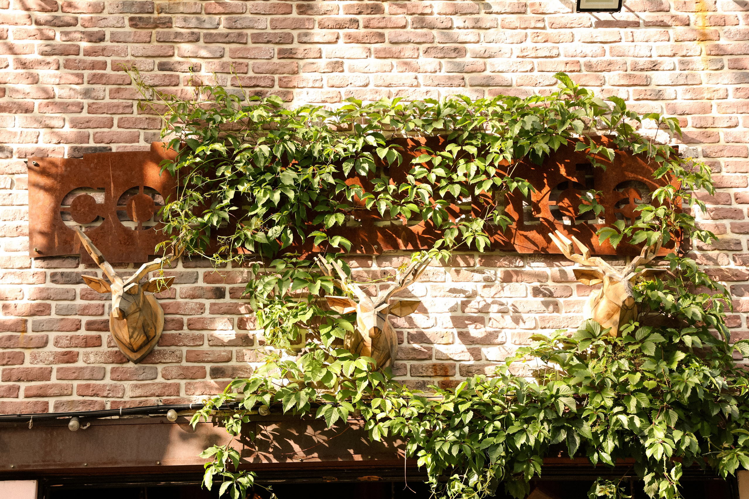 Кристафле и Олеся. Свадебный, репортажный, фотограф Москва и Московская область