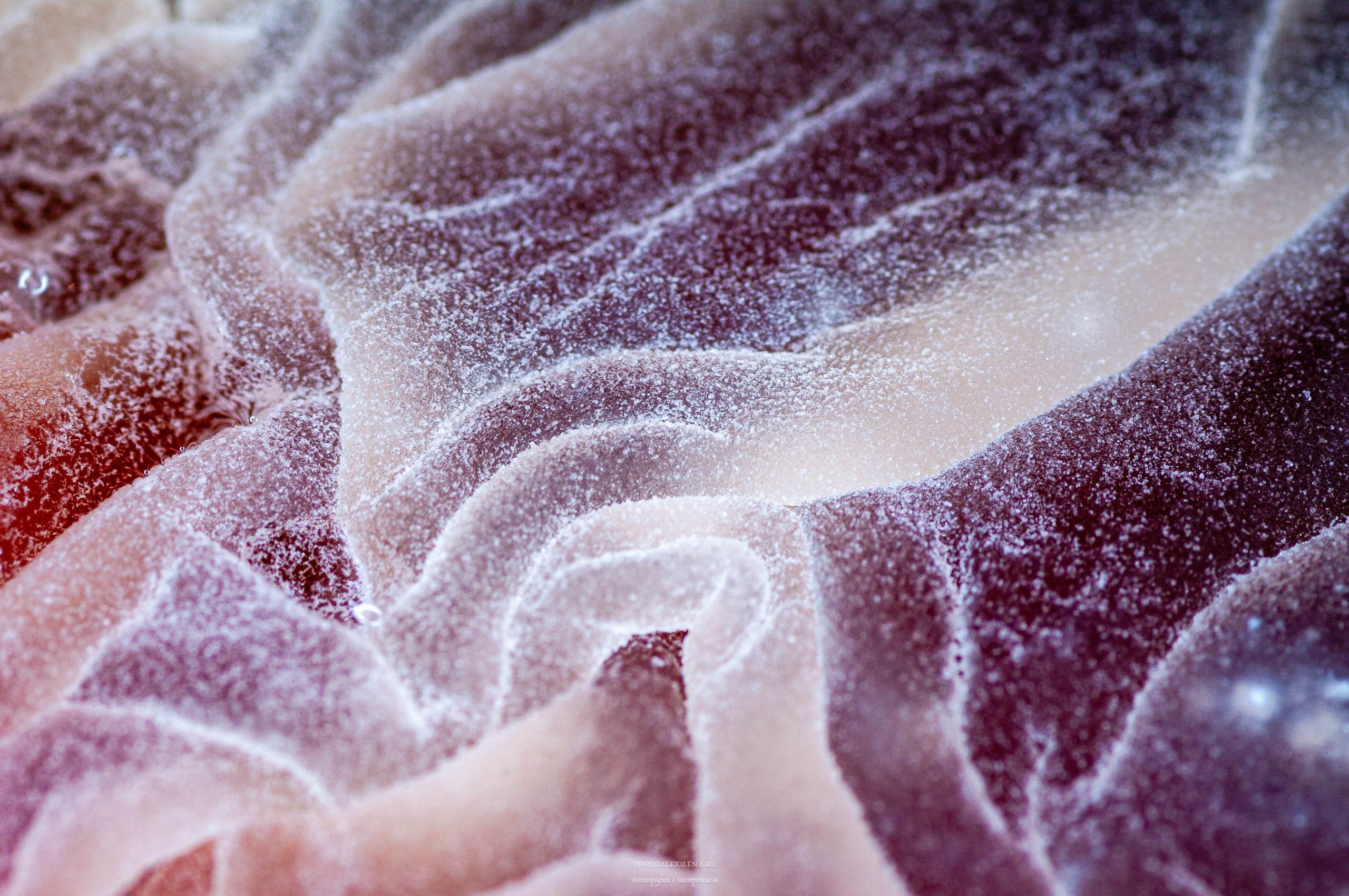 Осязаемая красота. Авторские стильные фотокартины