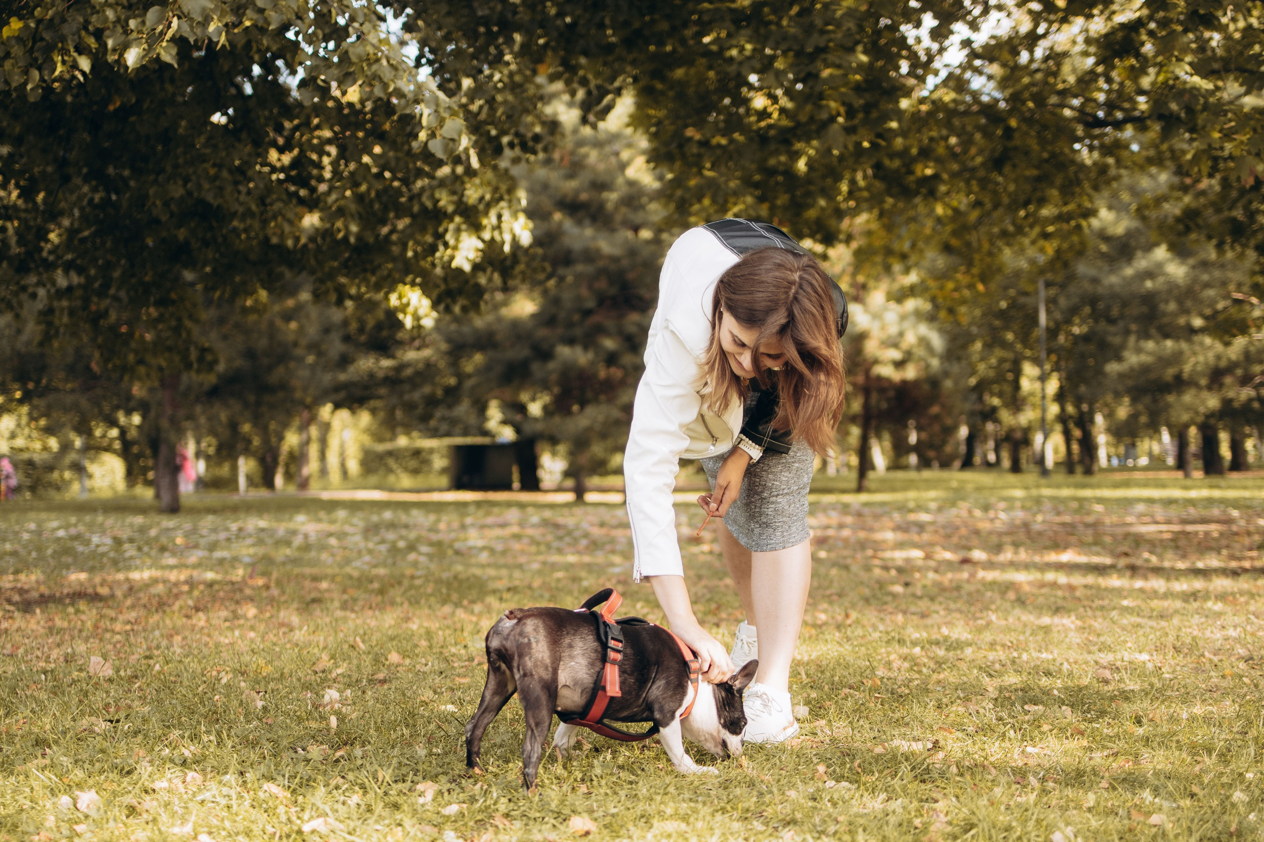 Оля и бульдоги