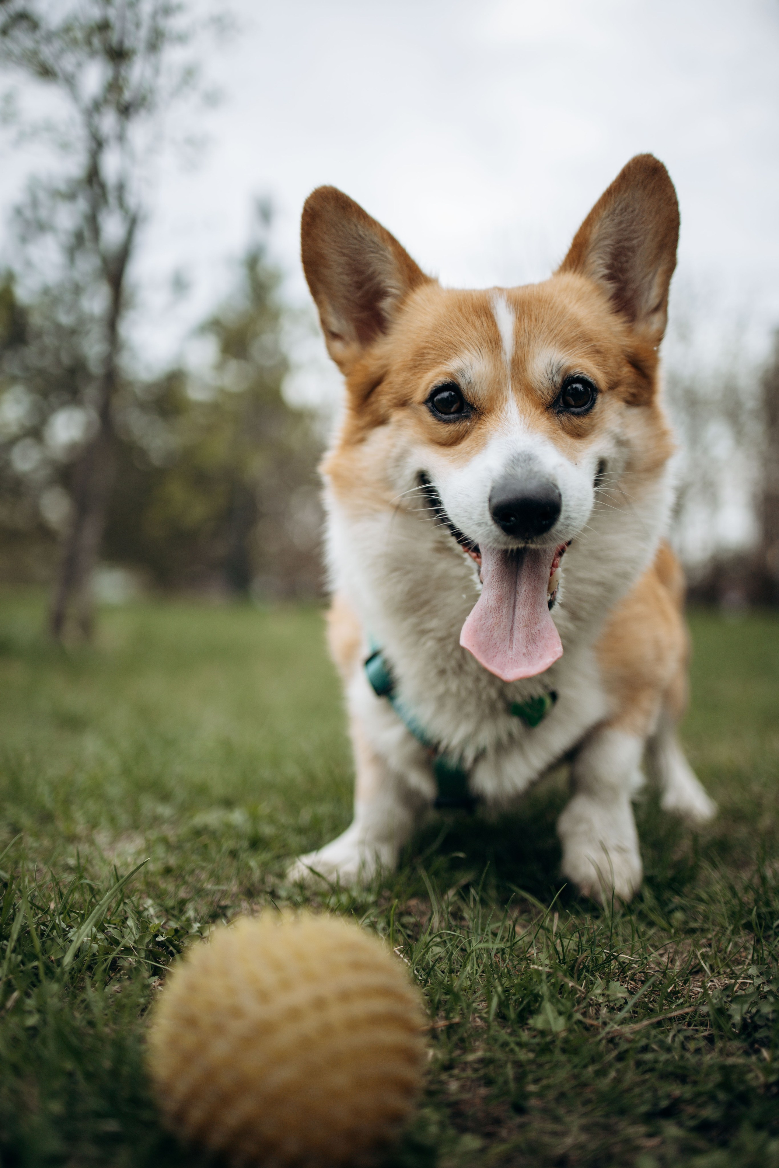 Екатерина и Альфи