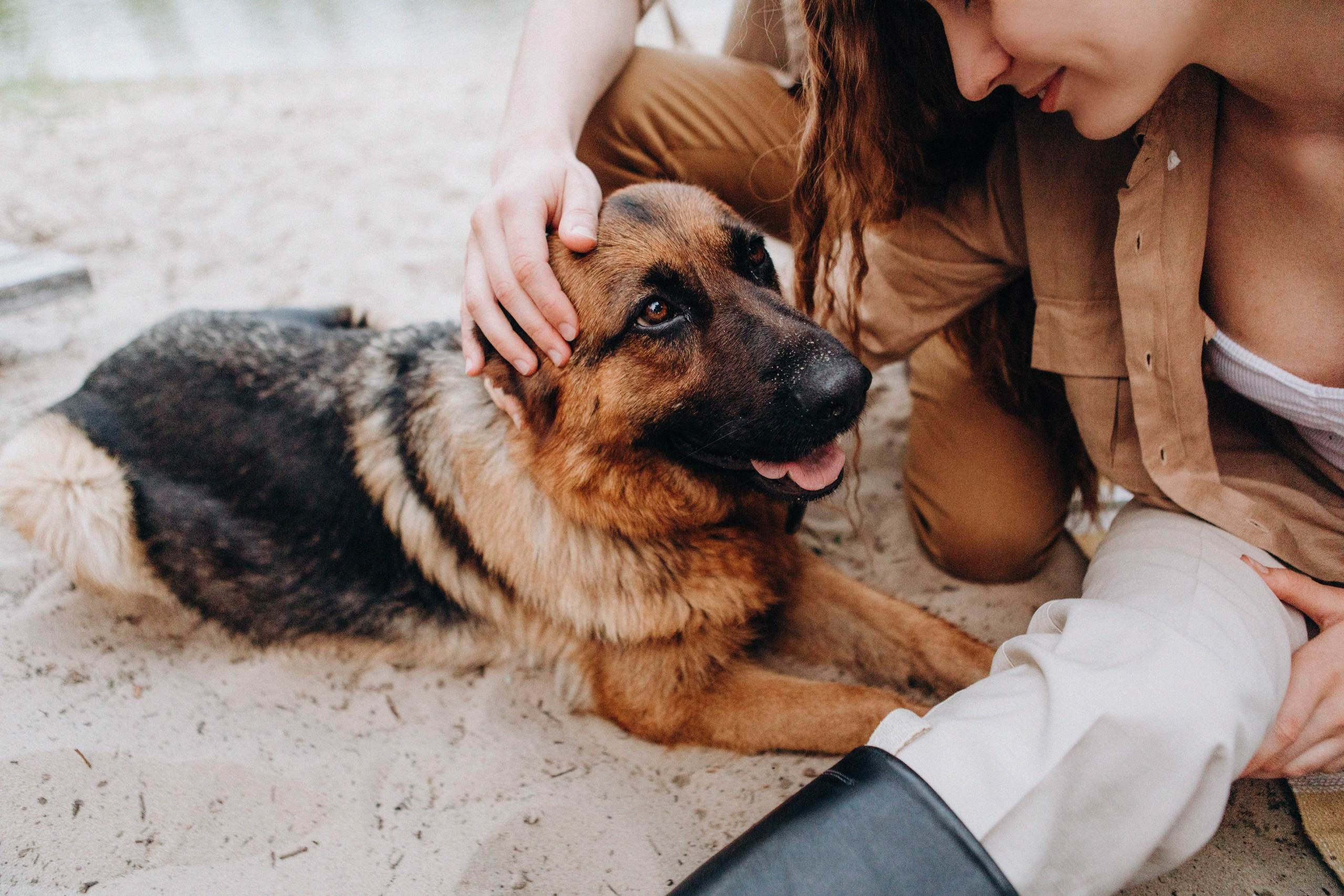 Диана Влад love story. Свадебный и семейный фотограф Арестенко Анастасия