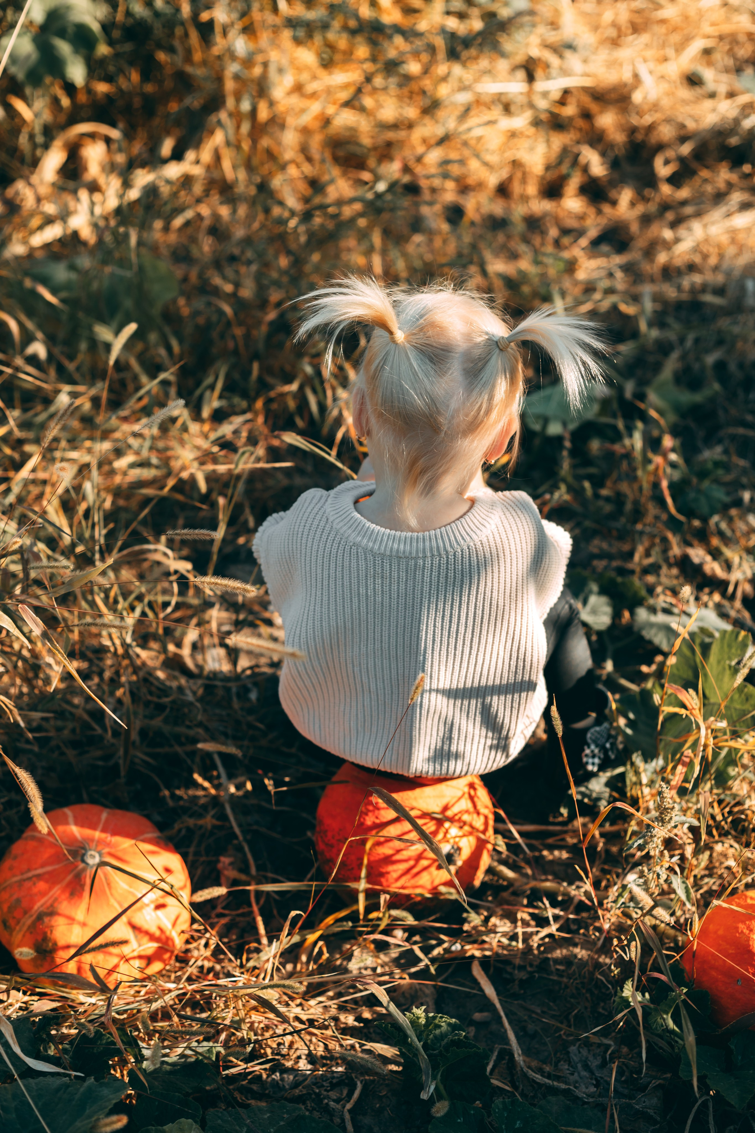 Детская фотосессия в тыквах. Свадебный и семейный фотограф в Краснодарском крае Мария Данилкина
