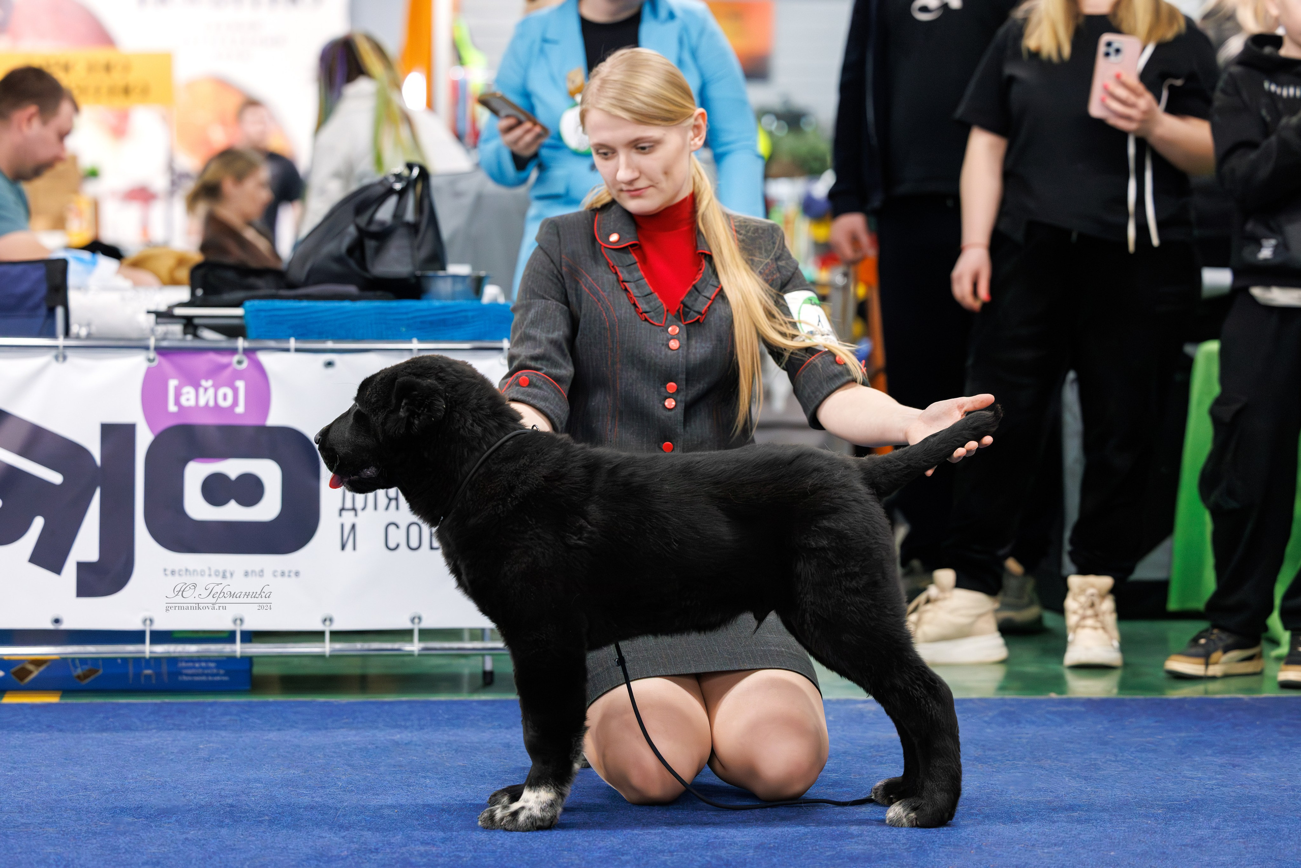 Сфера и Крокус 8,9,16 и 30.03.2025. Фотограф-анималист Юлия Германика