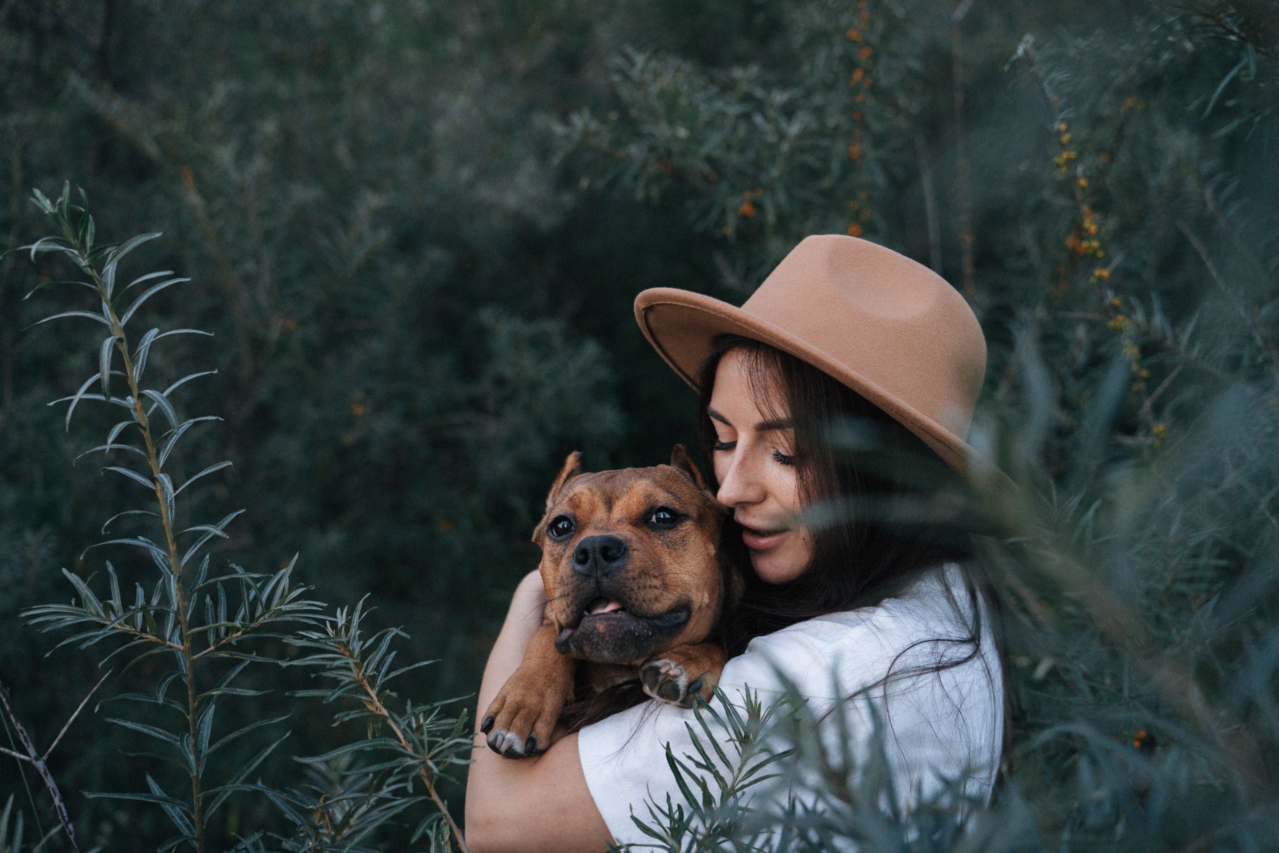 Кристина и Эфи. Фотограф анималист в Москве и Санкт-Петербурге Свиридова Анна