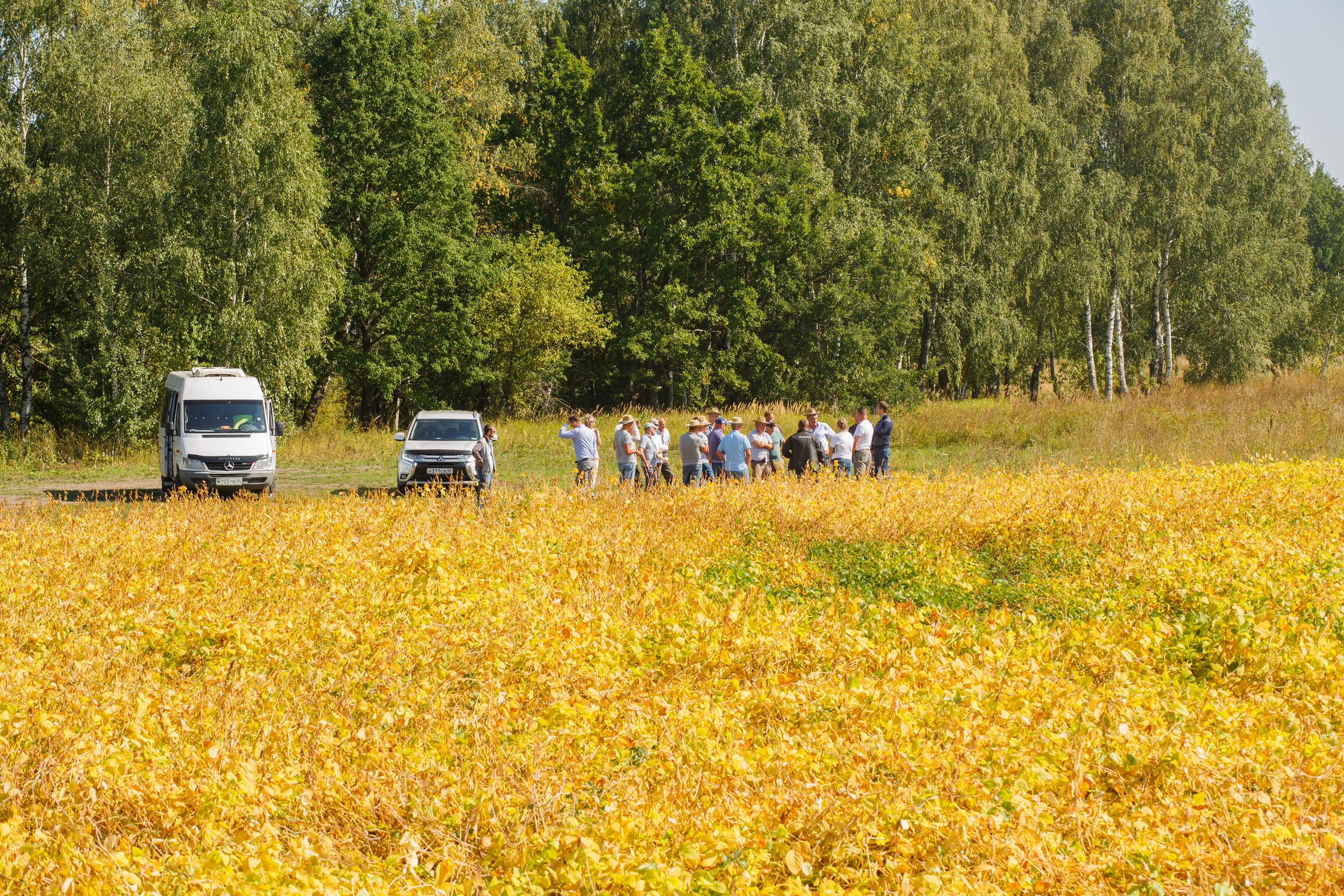 Агротерра. Фотограф Яков Поспехов