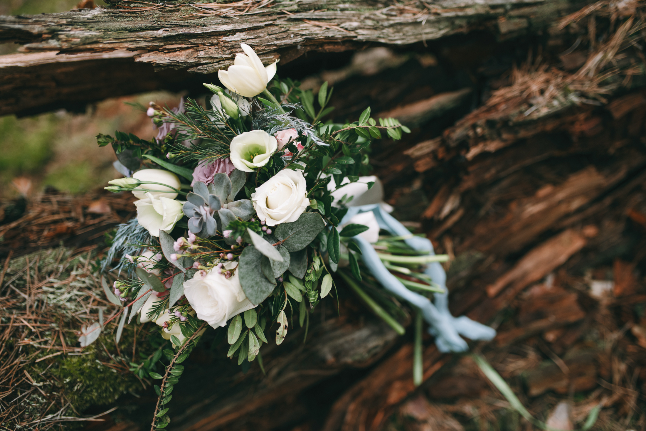 Над нами звездное небо. Свадебный фотограф в Калуге Алексей Климов