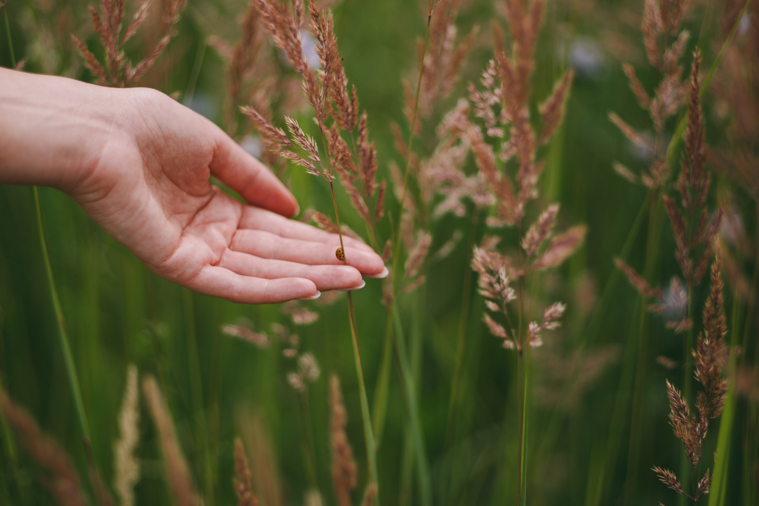 Оторвемся по Питерски. Свадебный фотограф в Калуге Алексей Климов