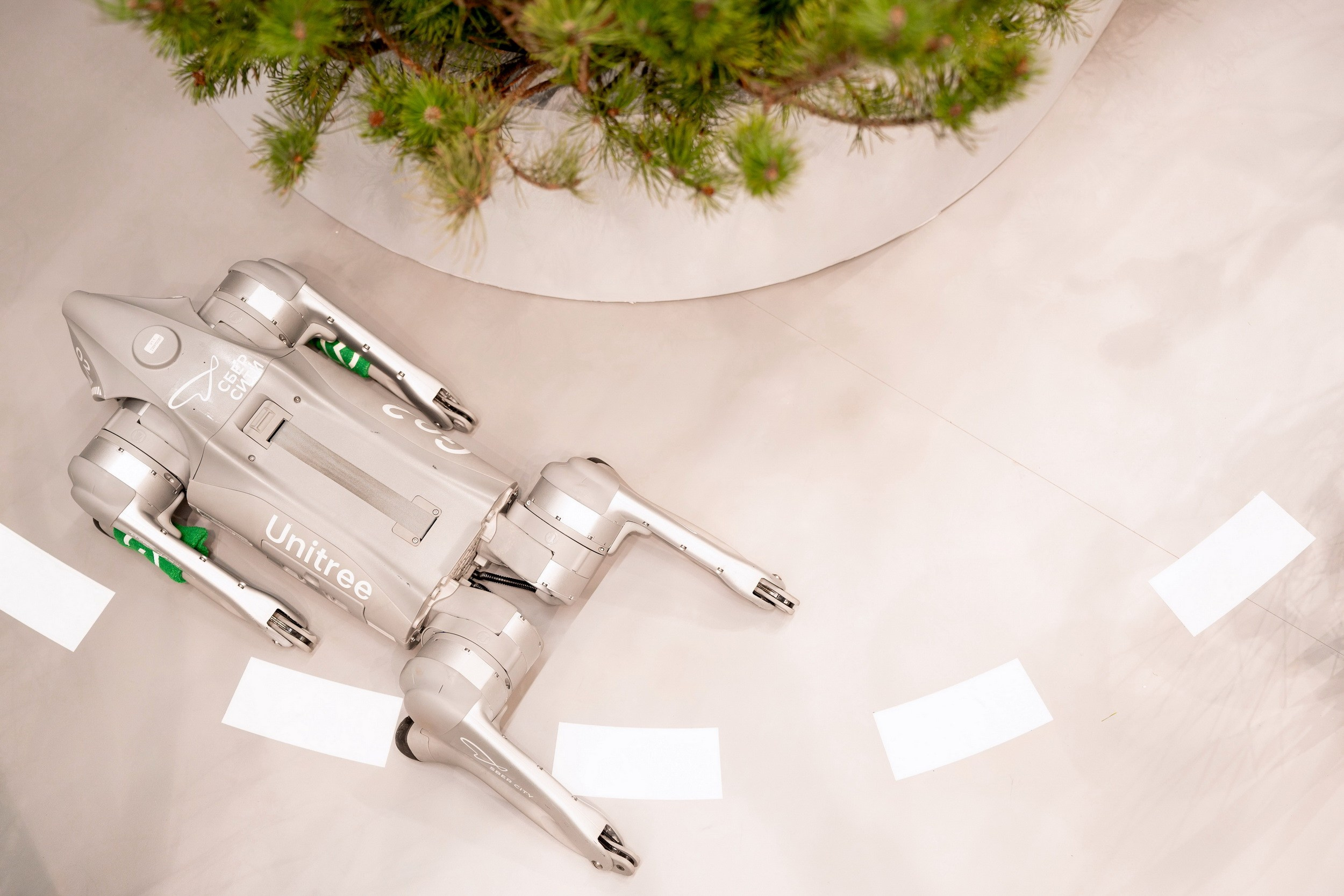 VI ММФ БРИКС 2024. Москва. Фотограф Сергей Лукьяненко