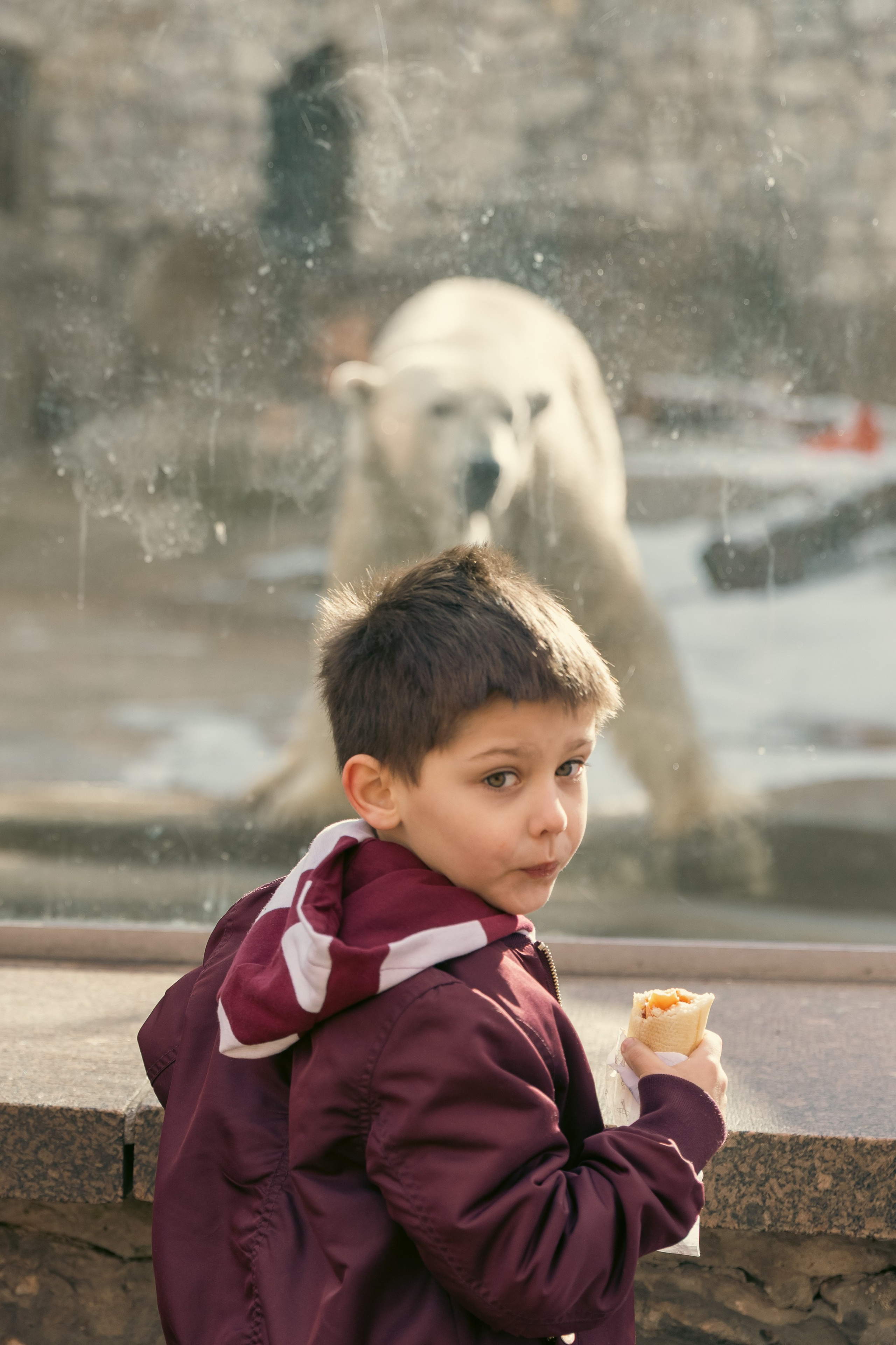Zoo. Семейный фотограф Израиль