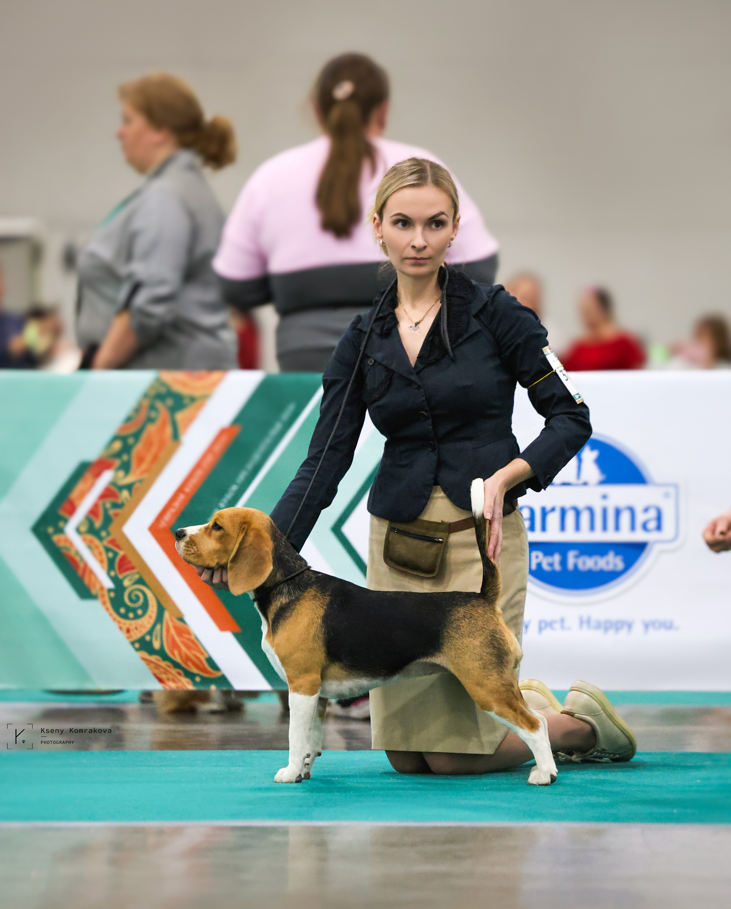 Съемка собак. Анималистика. Репортаж. Индивидуальная съемка