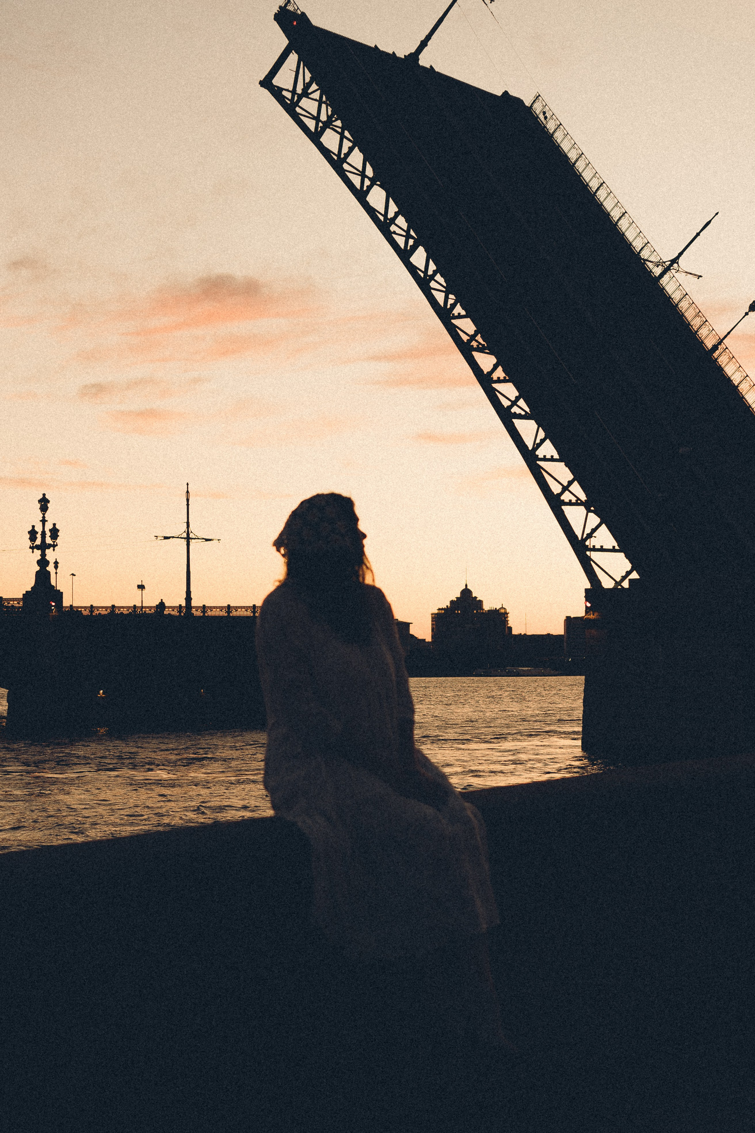 РАССВЕТ С РАЗВОДНЫМИ МОСТАМИ. Профессиональный фотограф, Санкт-Петербург — Виктория Богомолова
