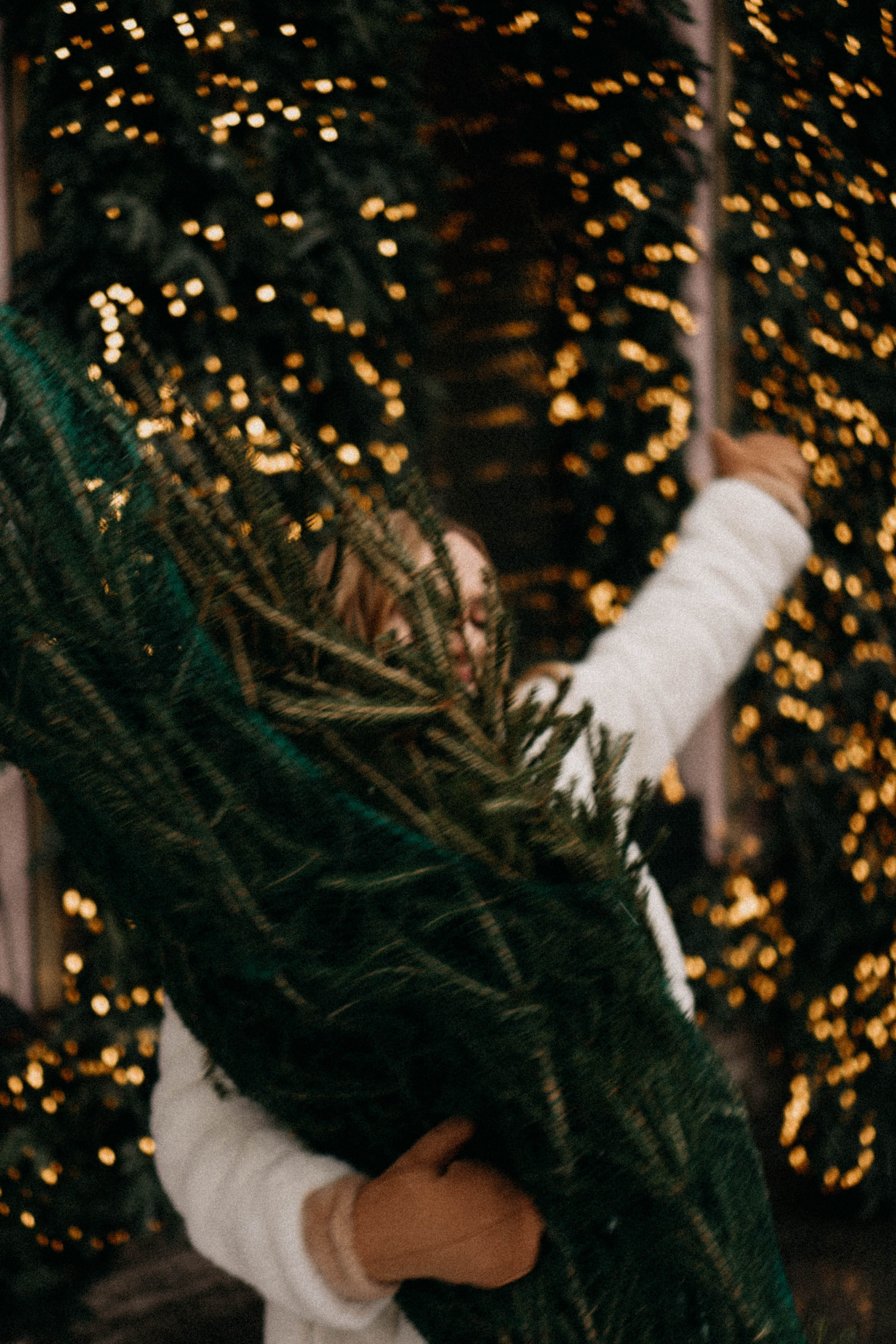 Новогодняя. Профессиональный фотограф, Санкт-Петербург — Виктория Богомолова