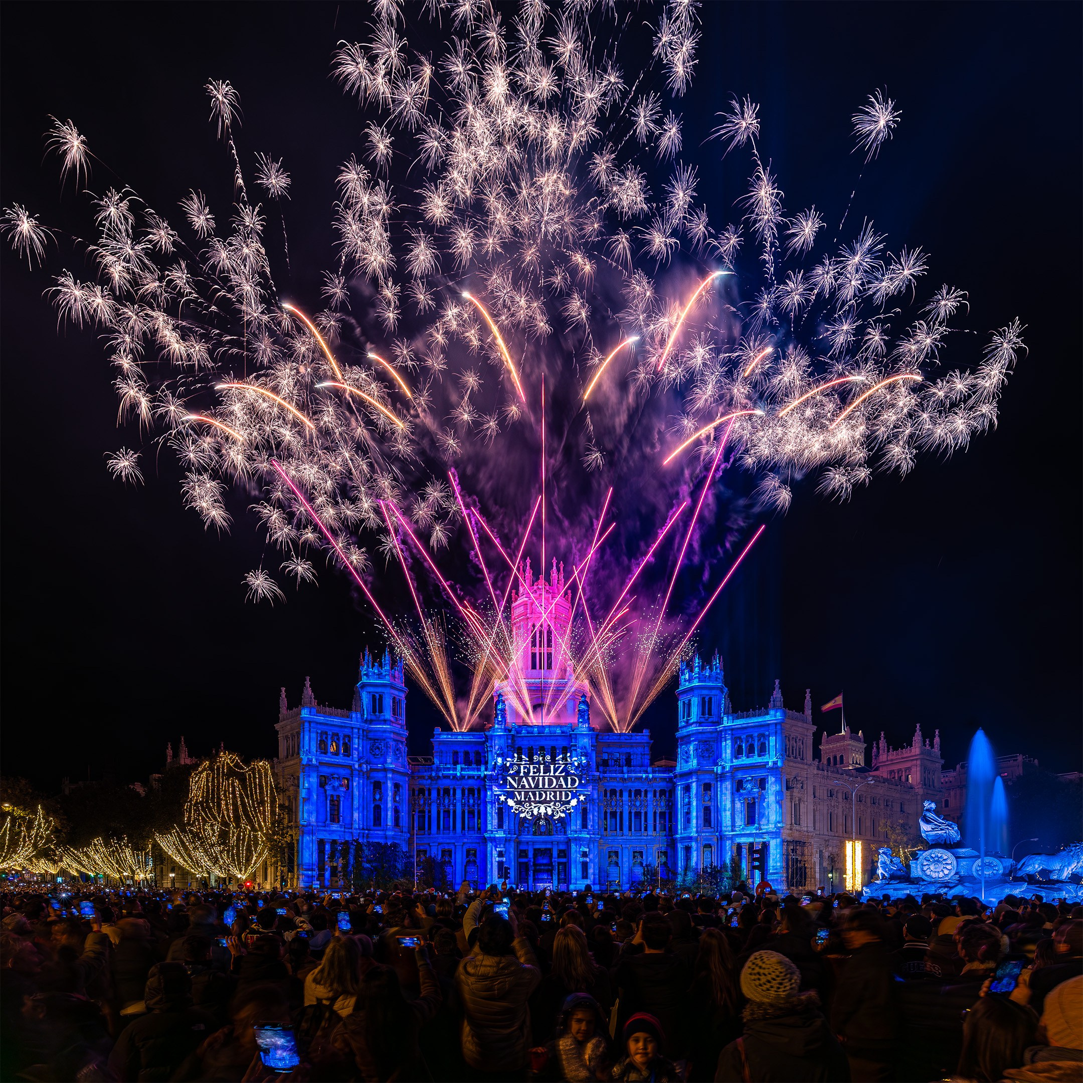 Fireworks. Tony Nomadic