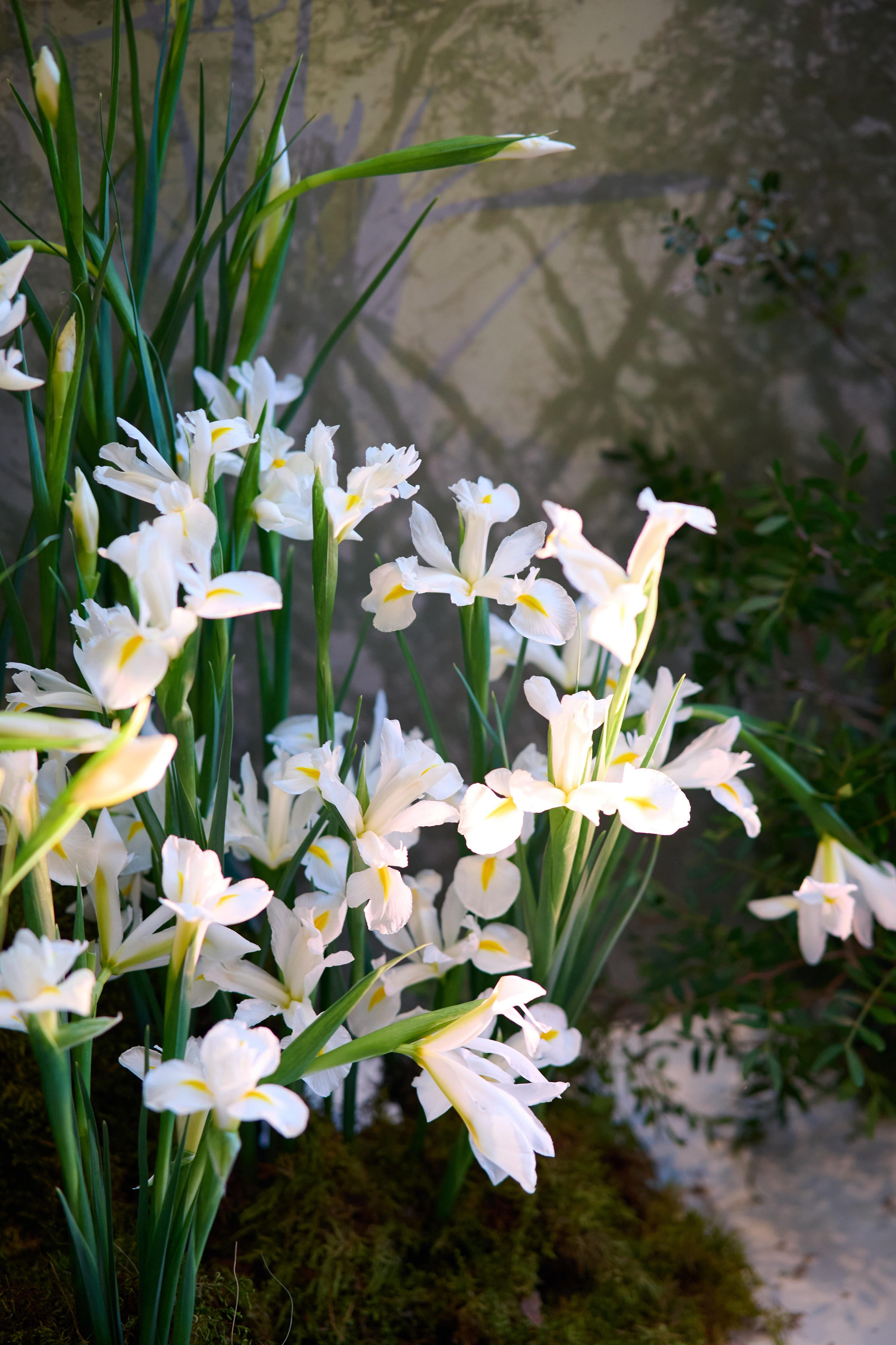 Весна. Репортажный фотограф в Москве и Санкт-Петербурге — Профессиональная съёмка мероприятий | Данила Золкин