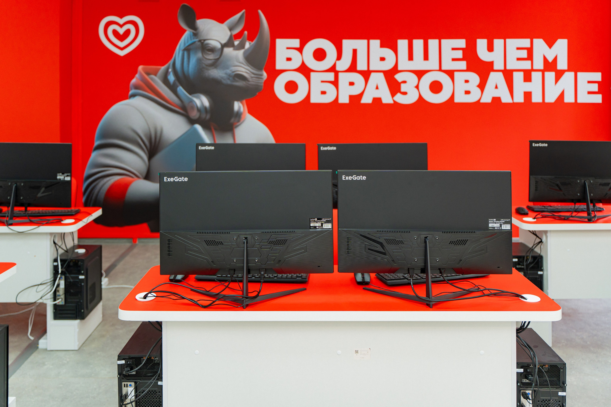 Синергия. Фотограф Мария Зайчик