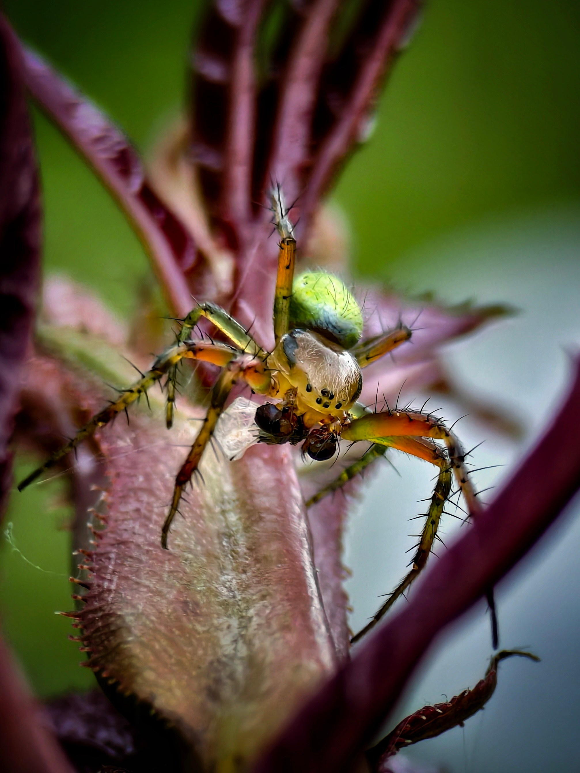 Большое в малом