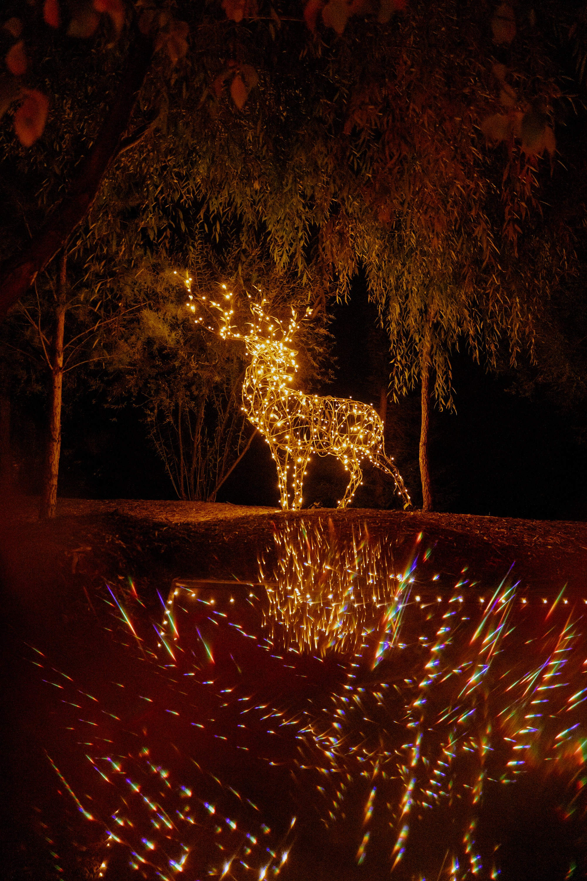 Детская сказочная съёмка в волшебной локации | Портфолио. Яна Жуковская, фотограф Тюмень