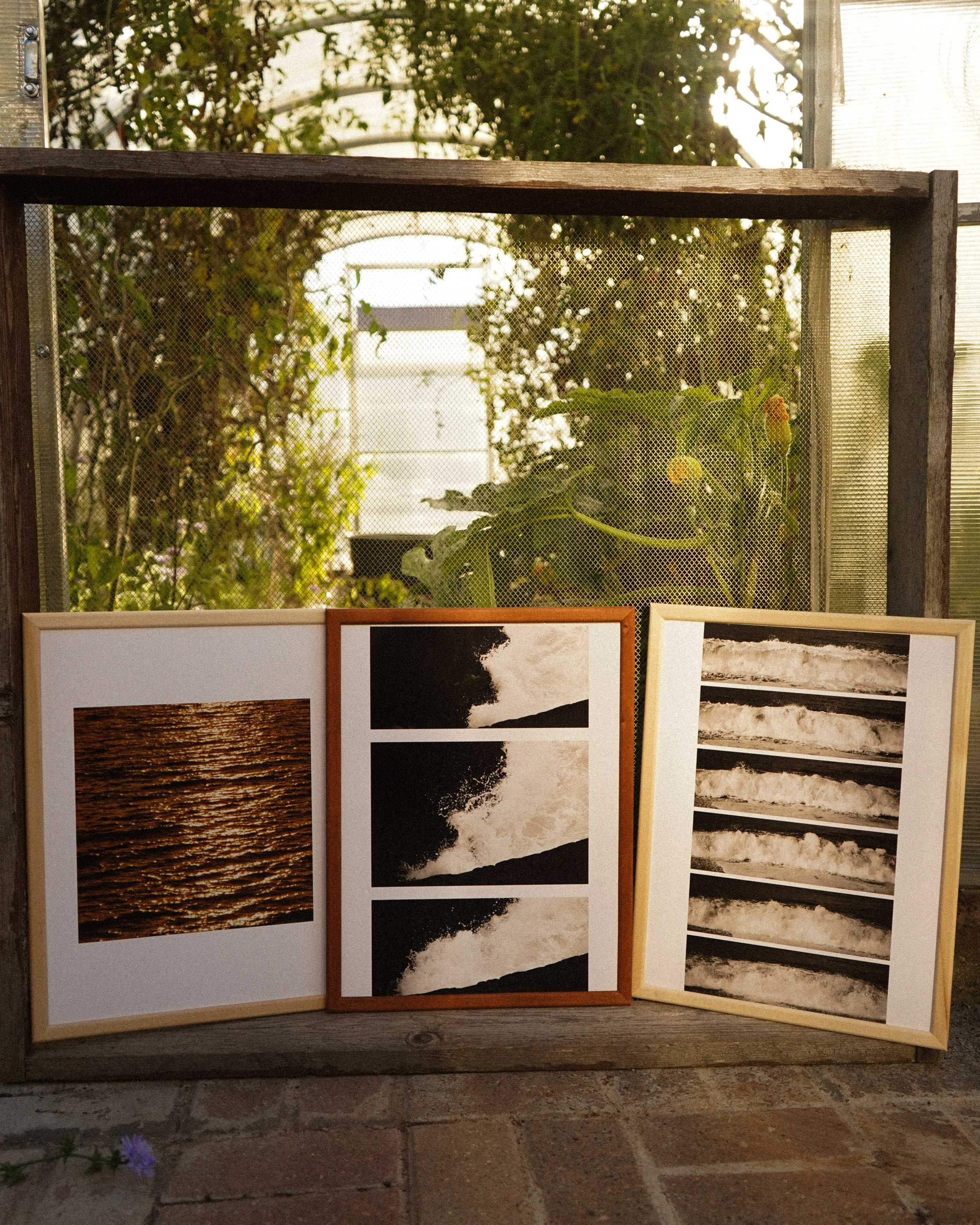 WAVES. Фотограф Нижний Новгород