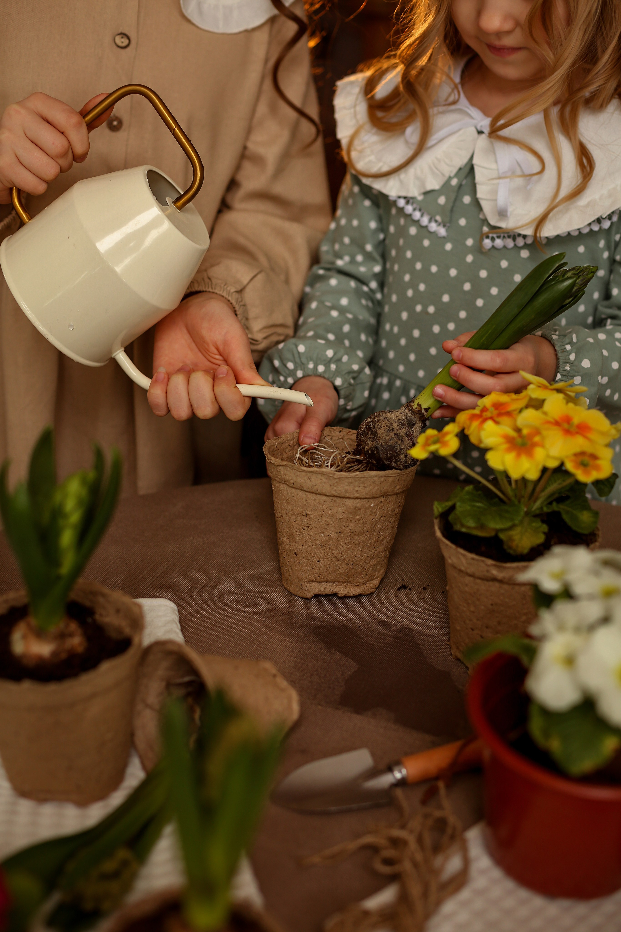 Садовницы. Фотограф Ульянкина Мария