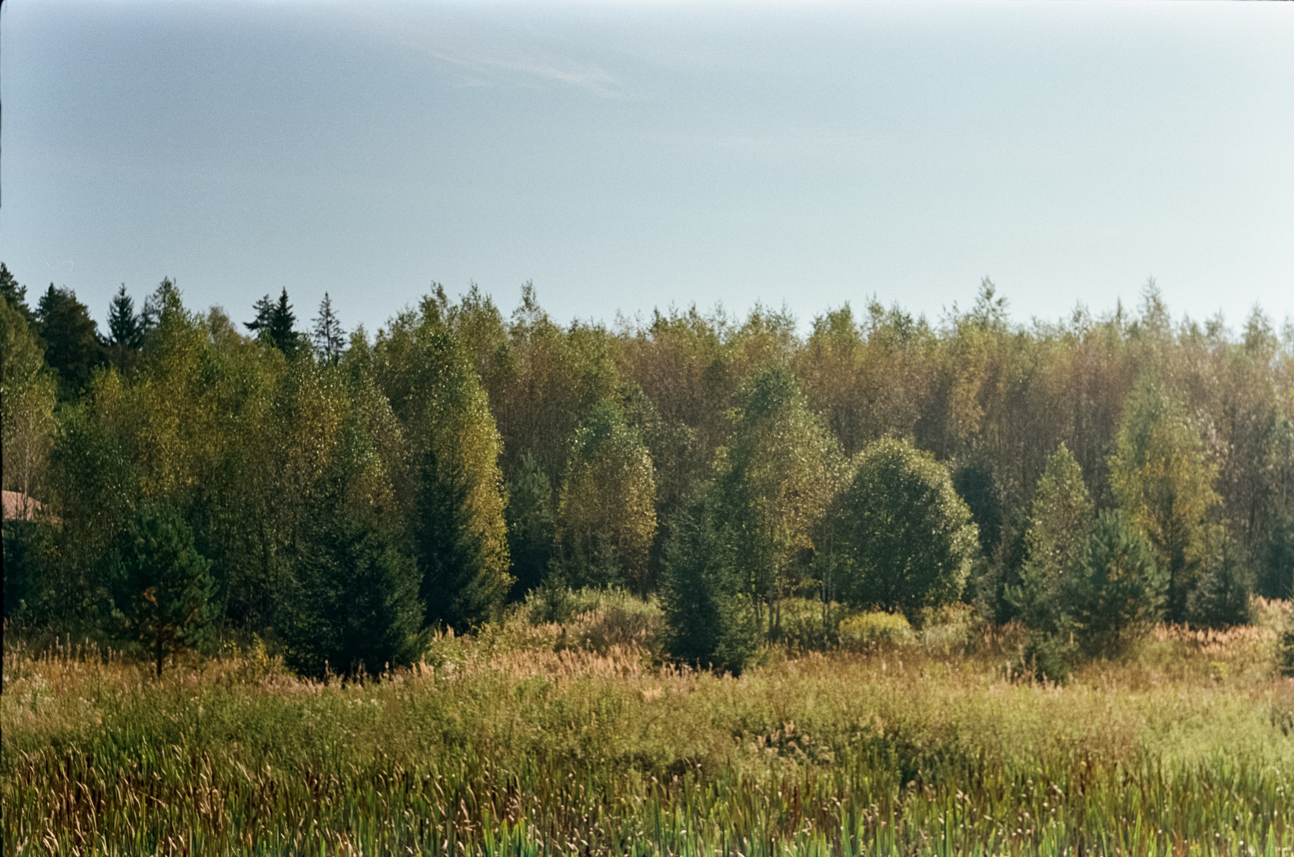 Edixa-MAT REFLEX Mod.D | Carl Zeiss Jena Biotar 58 mm f2 T | SFL 250D