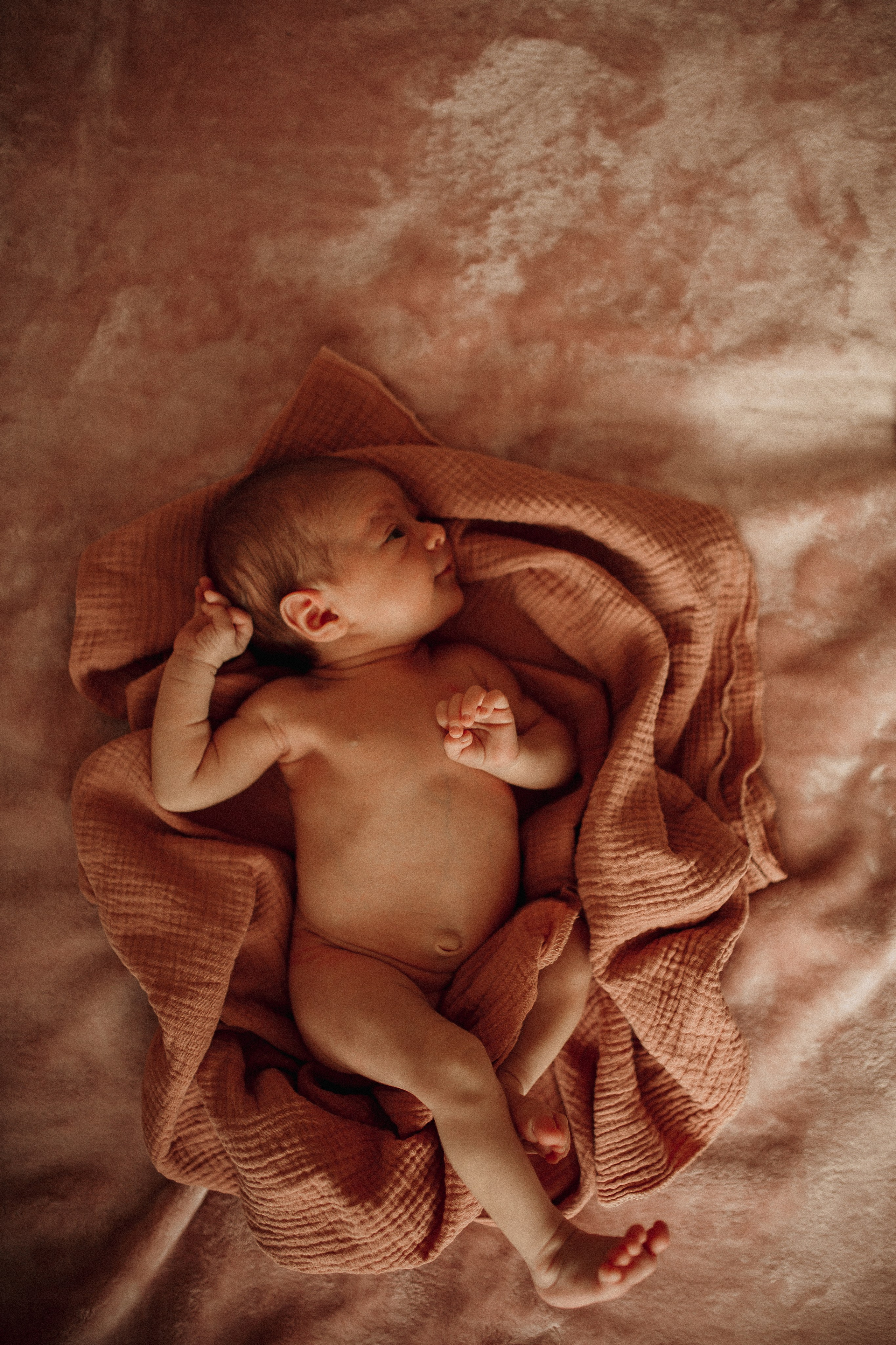 Алиса 14 дней. Семейный и Свадебный фотограф в Санкт-Петербурге Плохая Екатерина