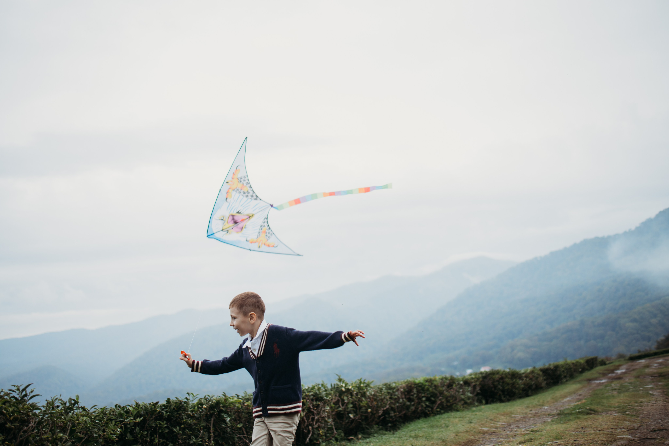 Чайные плантации мацеста. Фотограф Сочи Татьяна Зорина