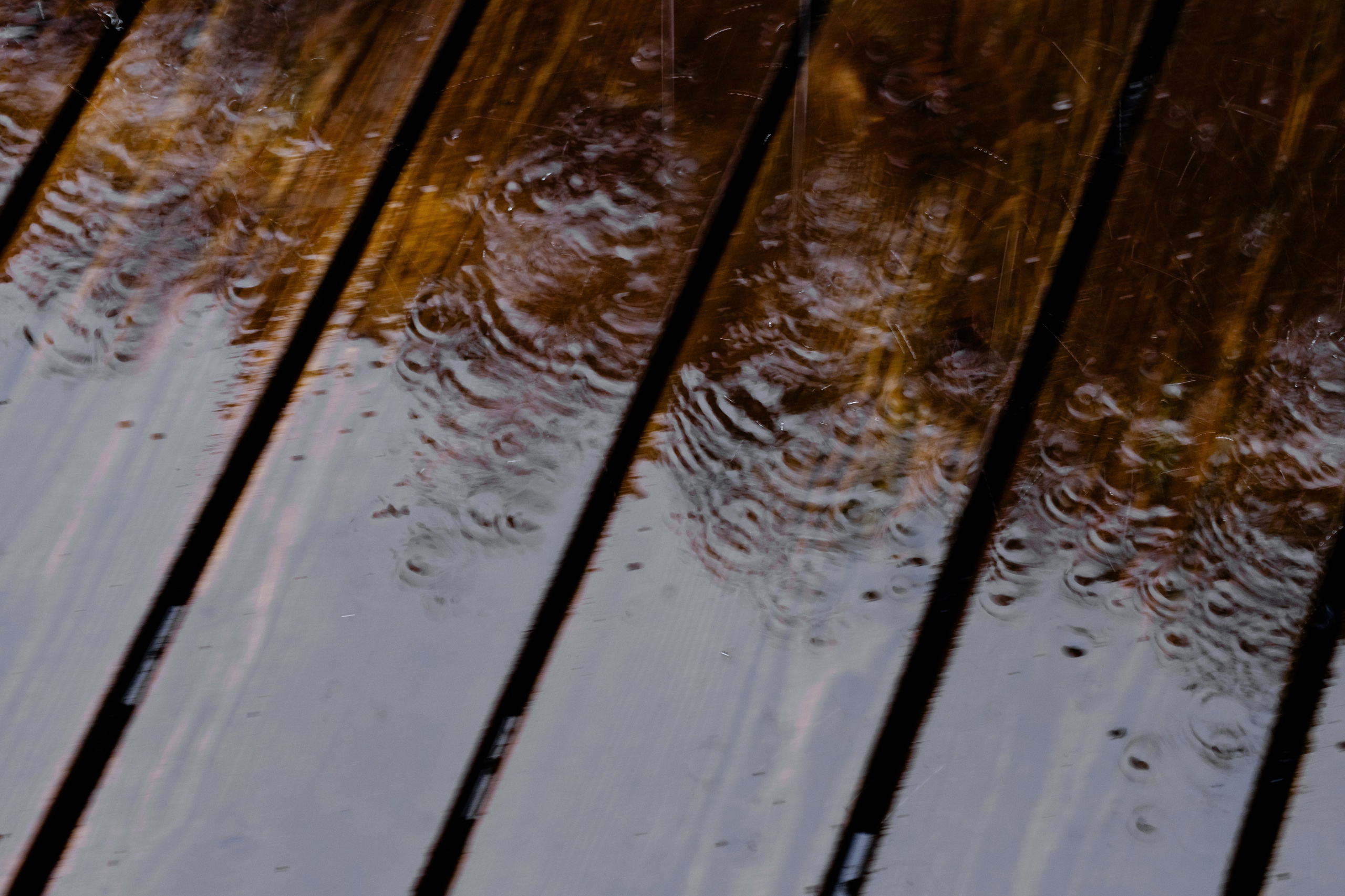 Свадебный день Сергея и Яны. Свадебный фотограф Анна Бабахина