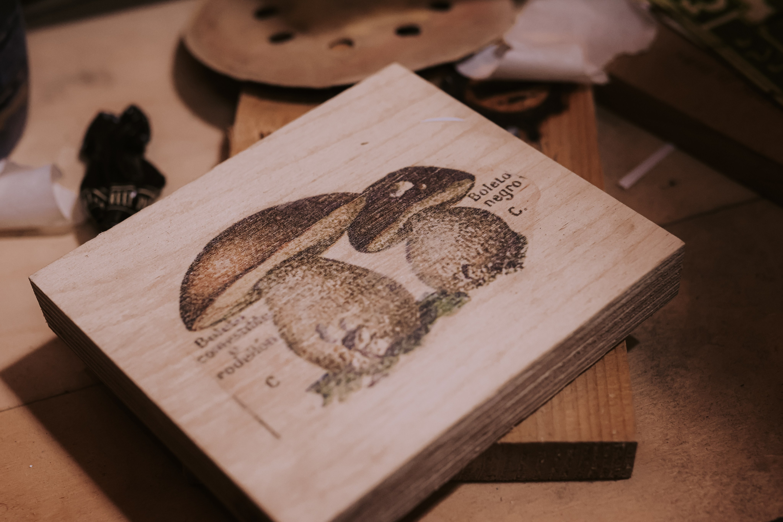 Hannukah event, Jaffa | December 2025. Photographer in Israel Alice Milchin